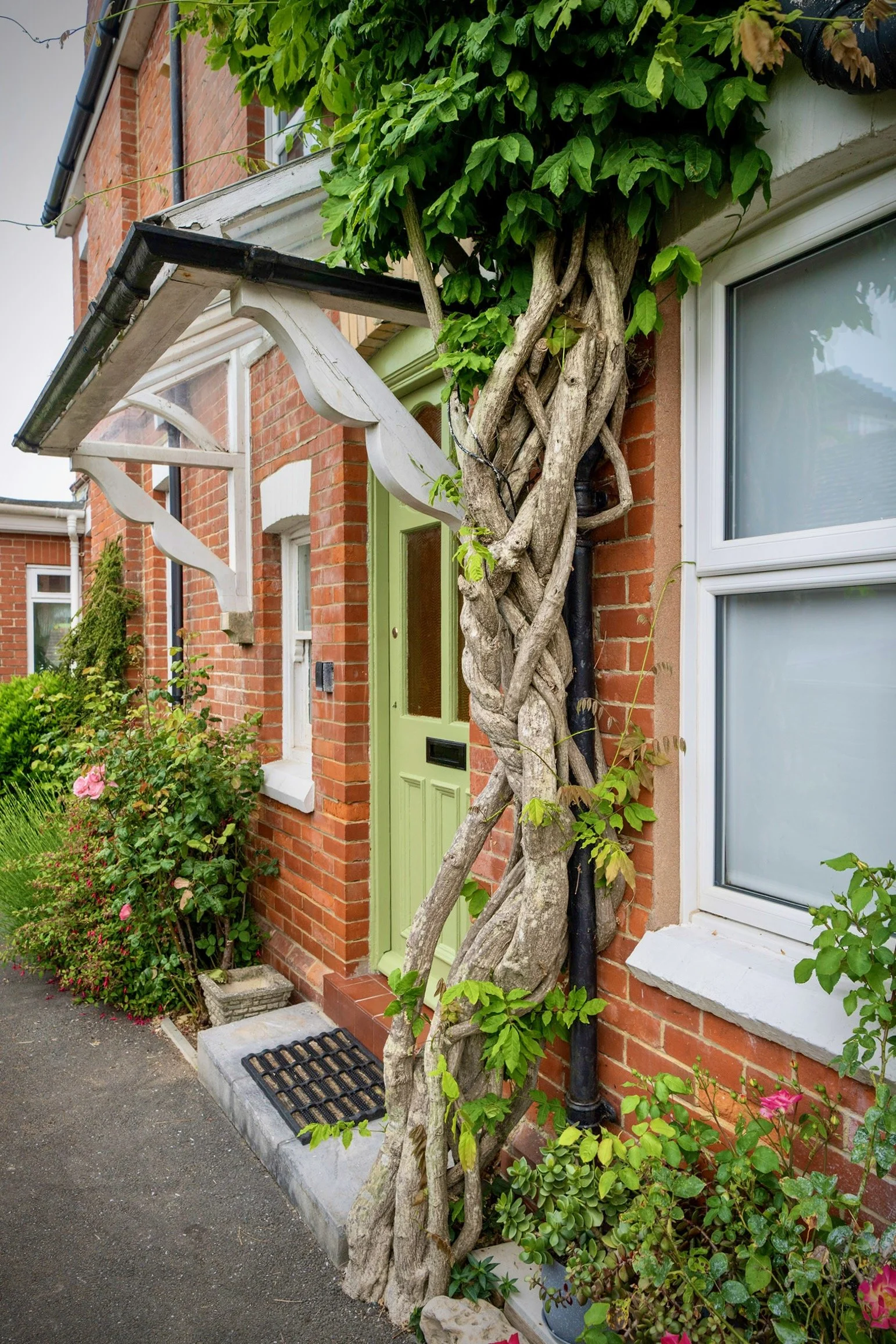 Britmead Guesthouse, Bed & Breakfast, Rope & Rudder, Continental Breakfast, Stay, Dine, Lounge, Relax, Explore, West Bay, Bridport, Dorset, Adventure, Overnight, Boutique, Terrace, Garden, James, Nina