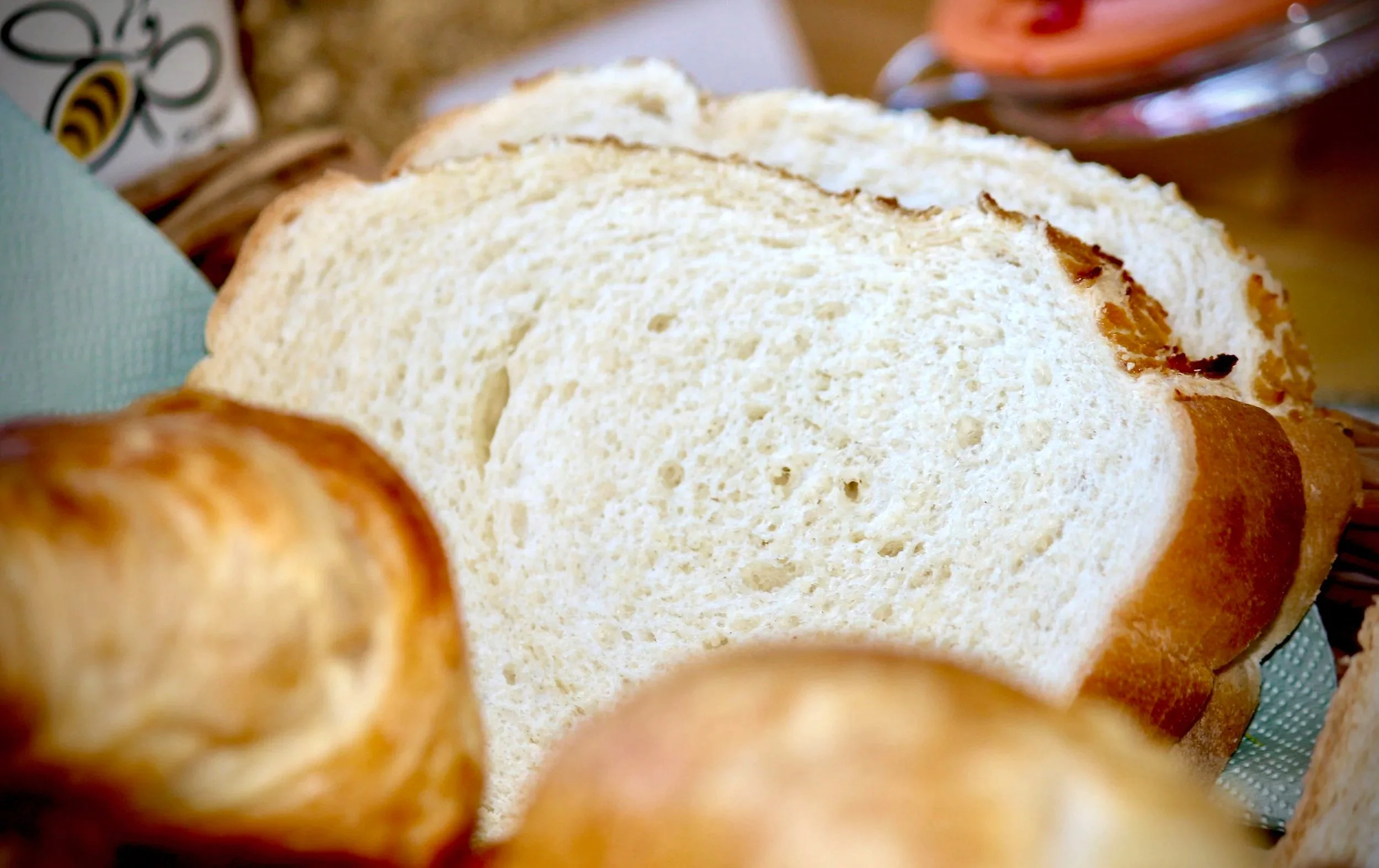 Britmead Guesthouse, Bed & Breakfast, Rope & Rudder, Continental Breakfast, Stay, Dine, Lounge, Relax, Explore, West Bay, Bridport, Dorset, Adventure, Overnight, Boutique, Terrace, Garden, James, Nina