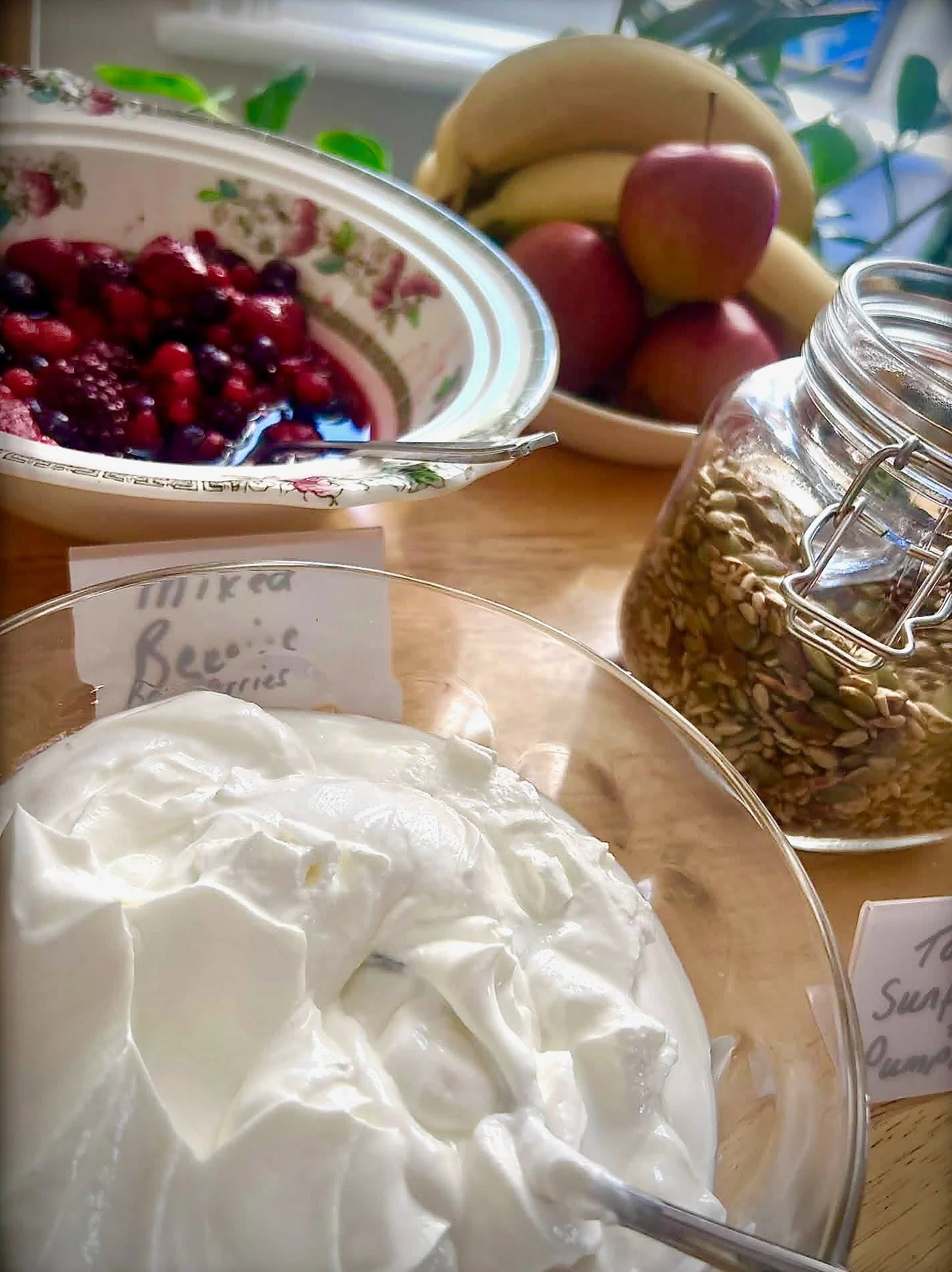 Britmead Guesthouse, Bed & Breakfast, Rope & Rudder, Continental Breakfast, Stay, Dine, Lounge, Relax, Explore, West Bay, Bridport, Dorset, Adventure, Overnight, Boutique, Terrace, Garden, James, Nina