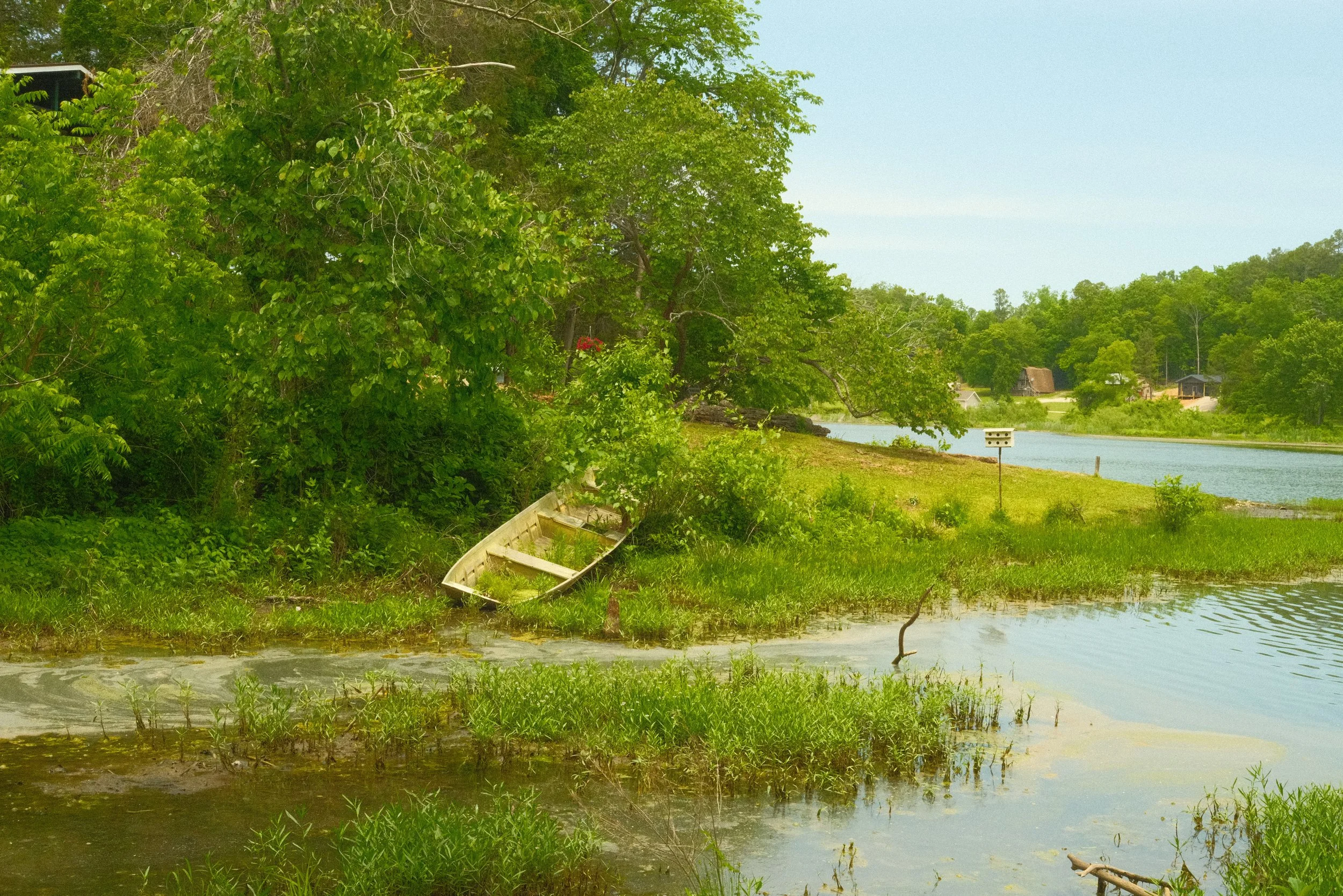 DSCF7000.JPG