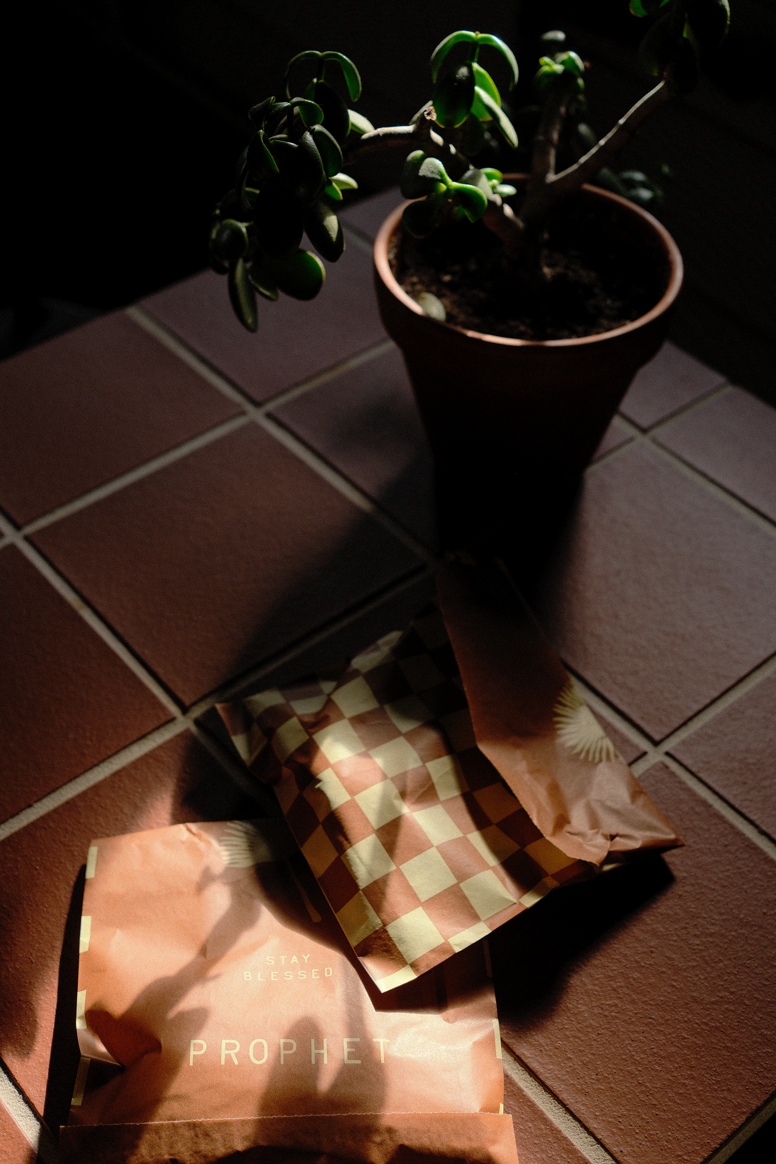 DSCF1860.png