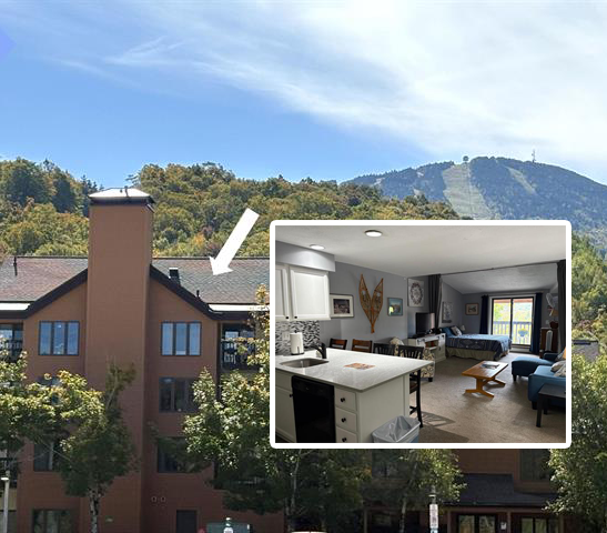 Exterior view of a brown multi-story house with a chimney, set against a backdrop of green trees and mountains. An arrow points to a window. An inset shows the interior living room with white walls, modern furniture, and mountain views through large windows.
