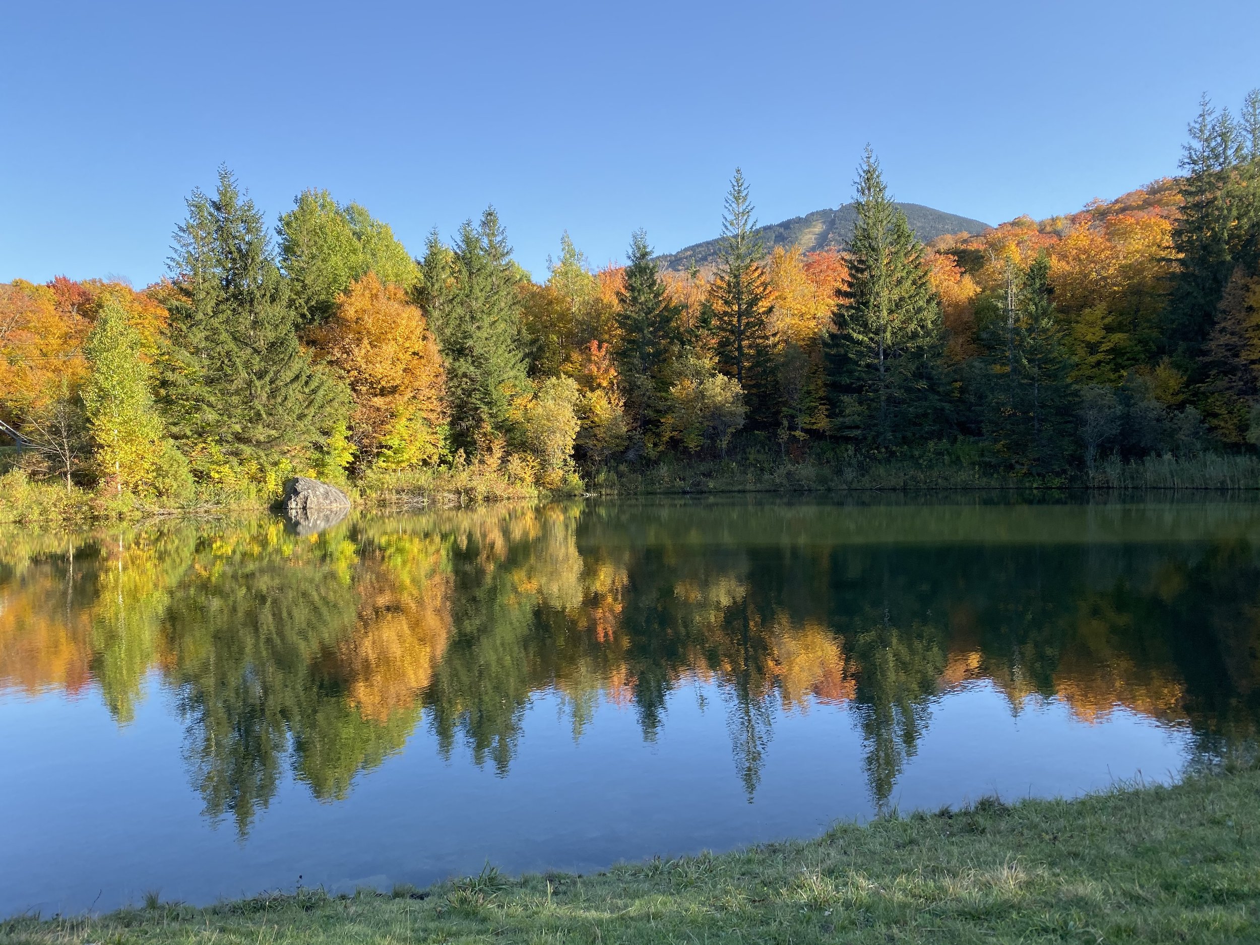 A landscape scene featuring a calm lake reflecting a colorful forest with trees displaying autumn foliage and a mountain in the background under a clear blue sky.