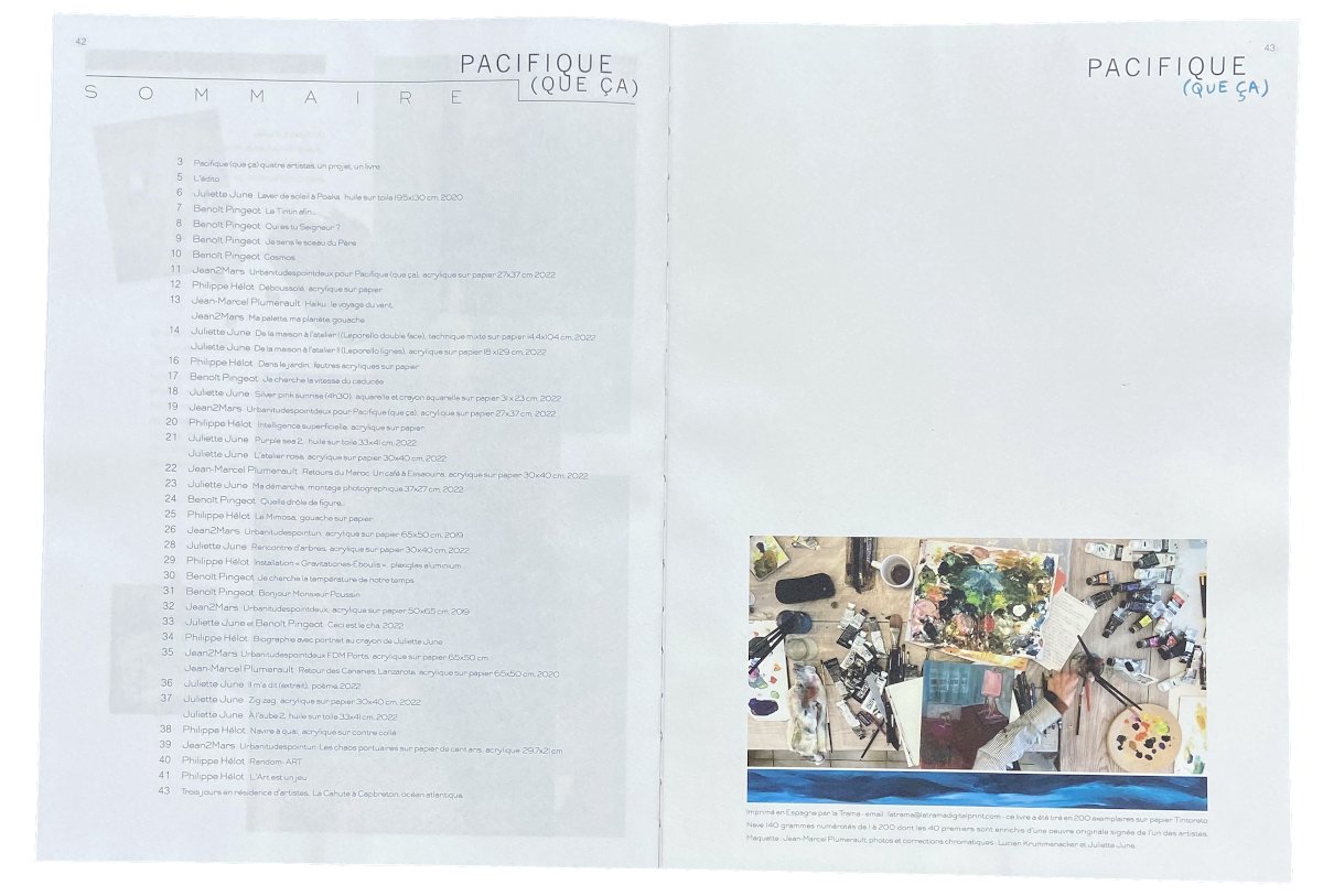 PACIFIQUE (QUE CA)_livre_sommaire_2022_web.jpg