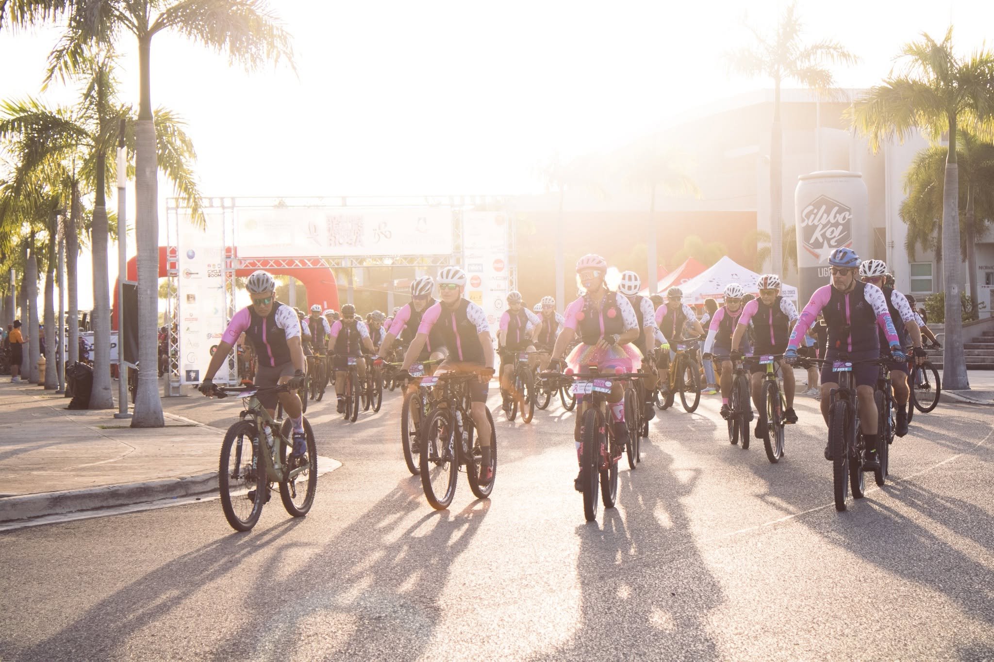 Grupo de ciclistas en una carrera, con el sol brillante detrás de ellos y palmeras en el fondo.
