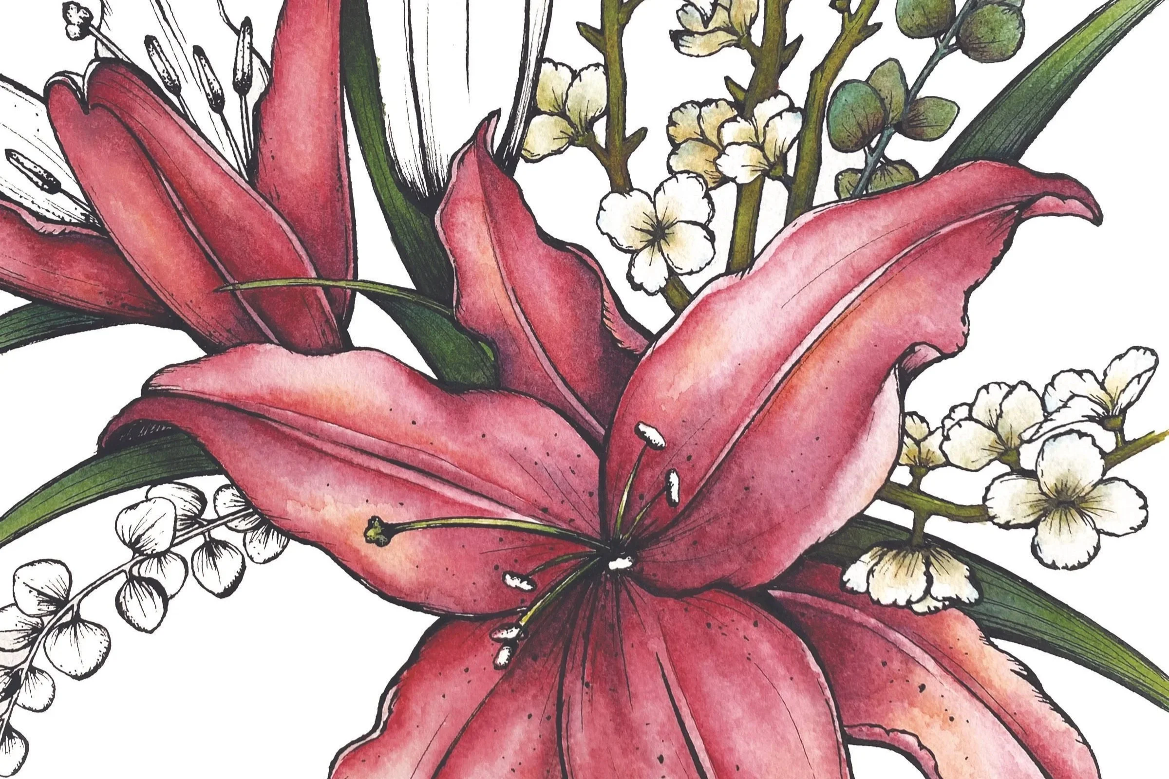 A watercolor-style drawing of a large pink lily flower surrounded by small white flowers and green leaves.