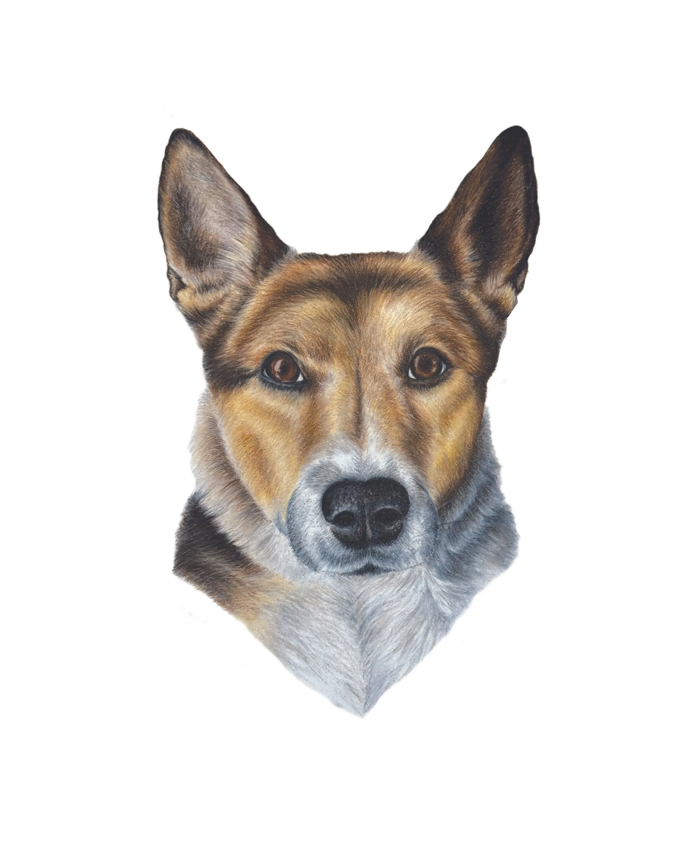 NALA_FINAL.jpg