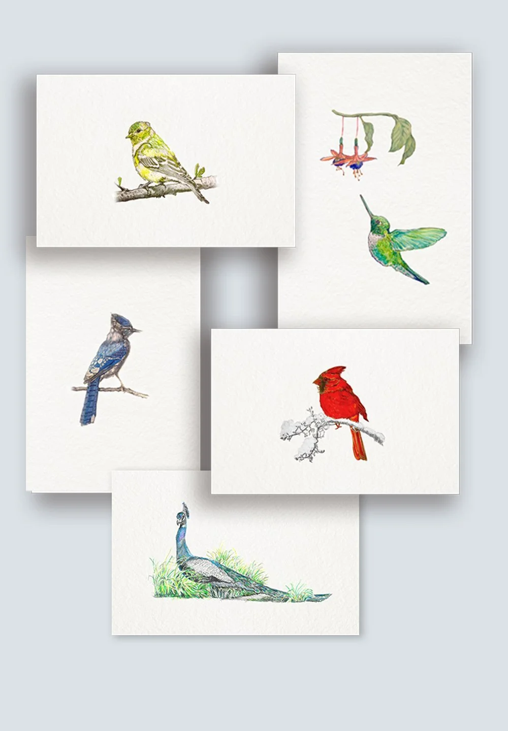 Bird+As+One+Set_2.jpg