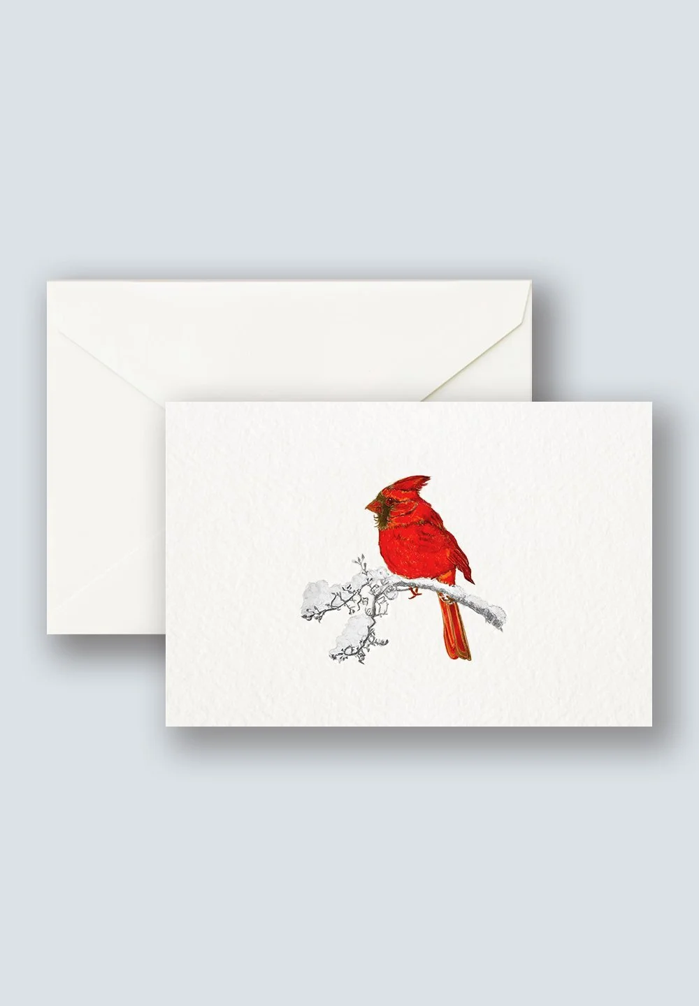 Cardinal+3.jpg