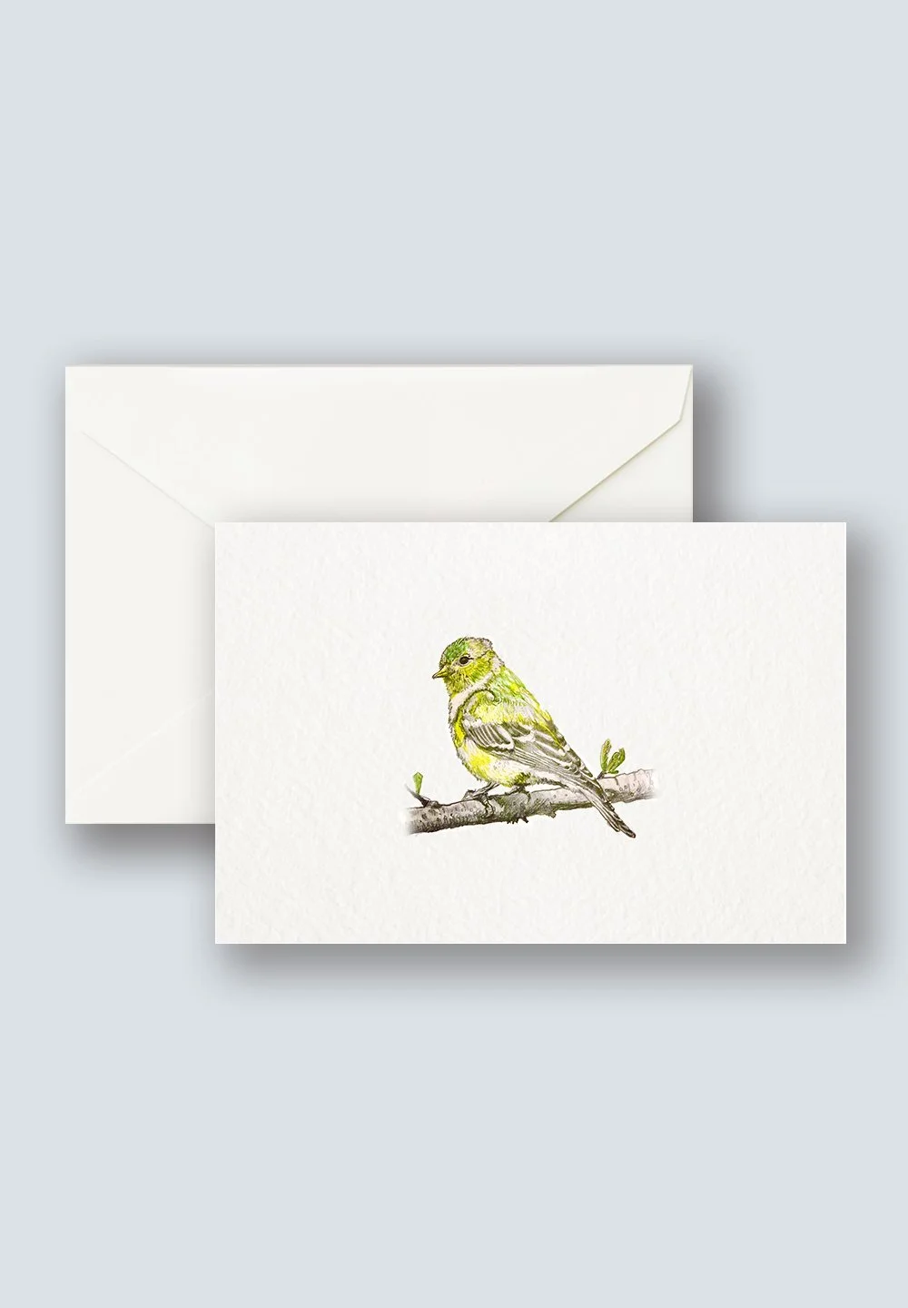 Goldfinch+1.jpg