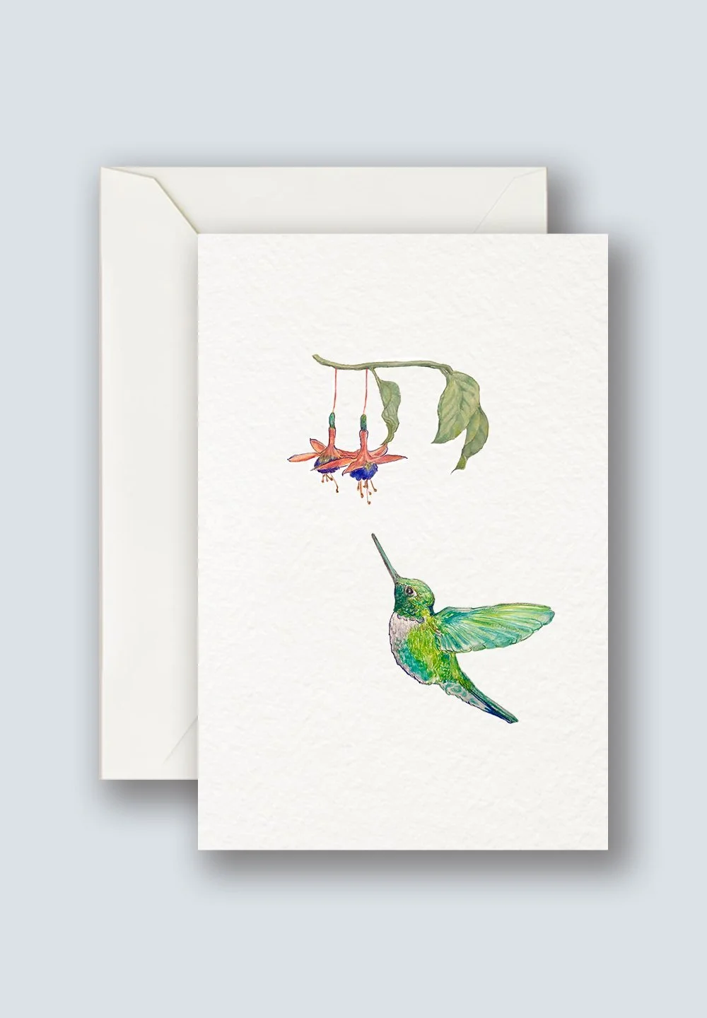 Hummingbird-2.jpg