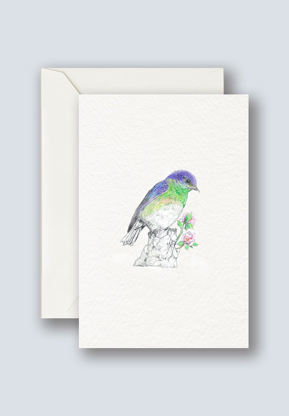 Blue+Bird.jpg