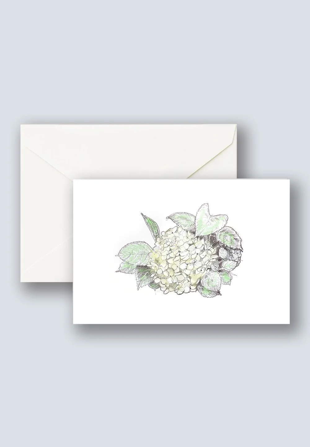 Hydrangea+green+5a.jpg