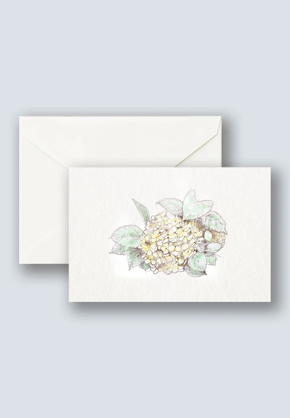Hydrangea+1a.jpg