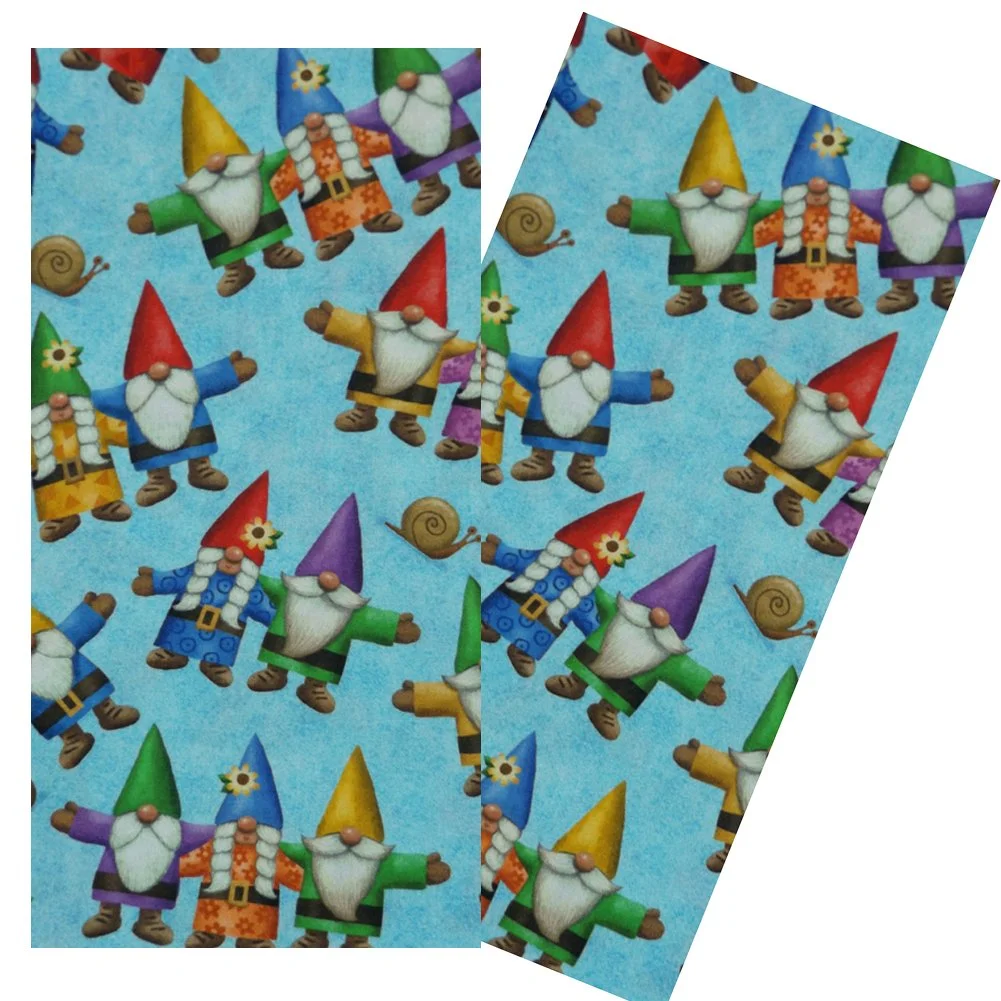 CCD3108BLUEGNOMESSET.jpg