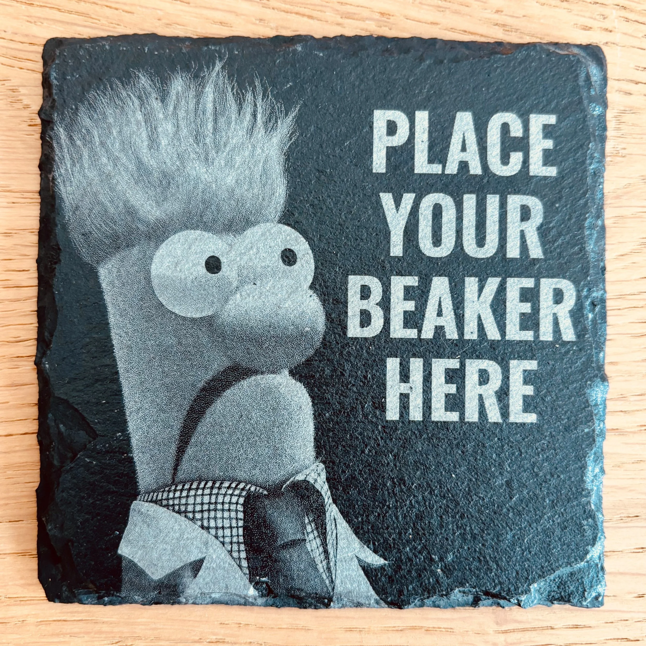 Place Your Beaker Here Coaster.jpg
