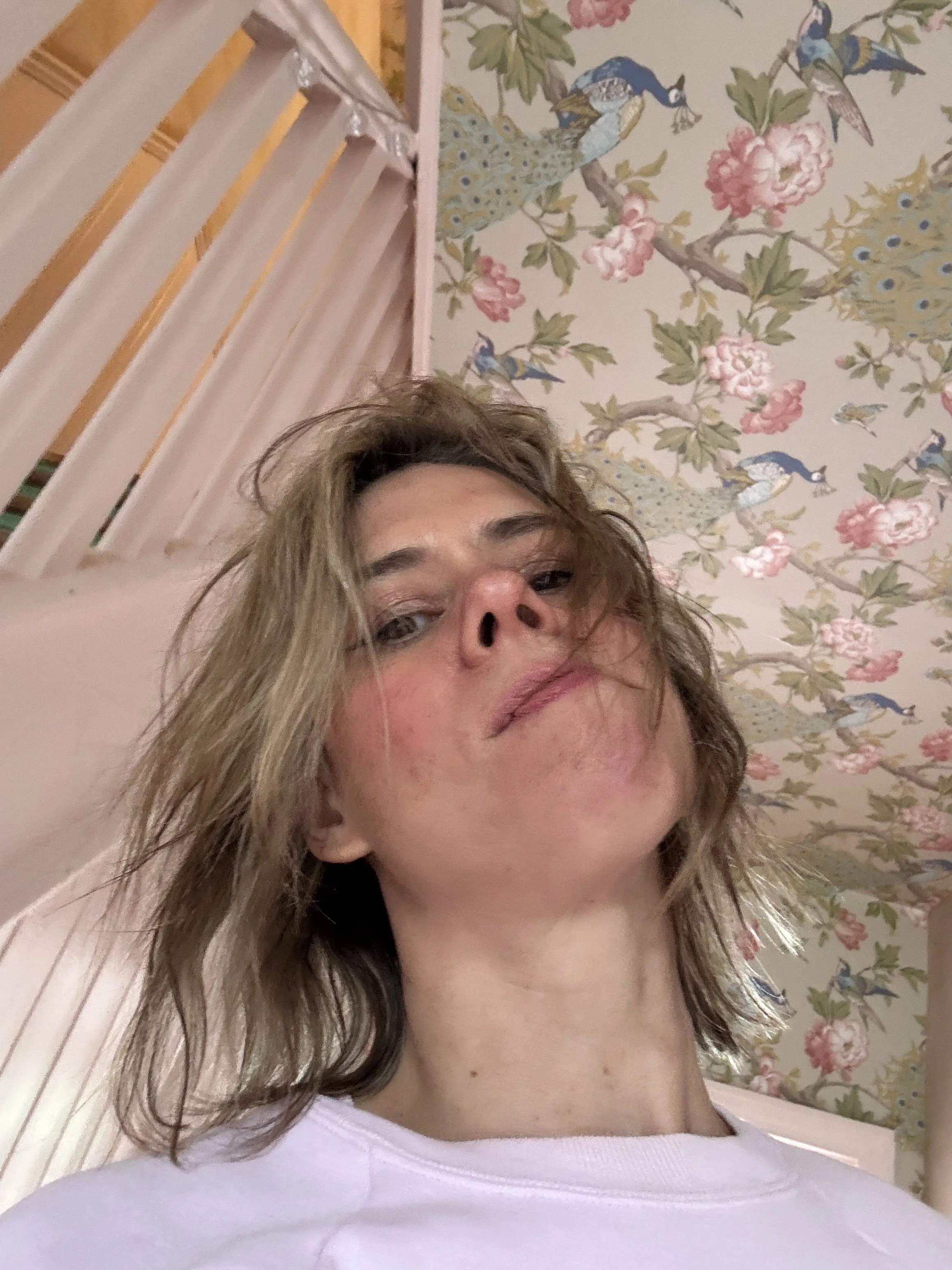 Lou Sanders
