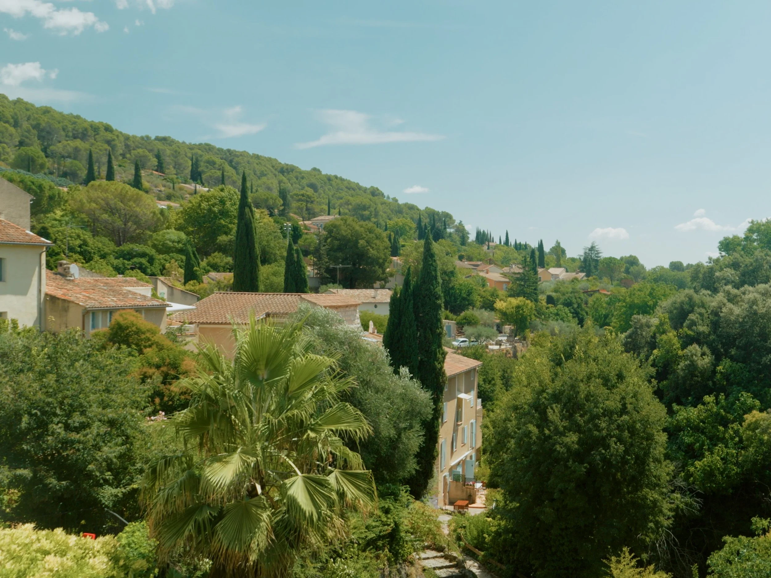 A hillside residential area with houses and tall cypress trees surrounded by lush green vegetation under a clear blue sky with a few clouds.