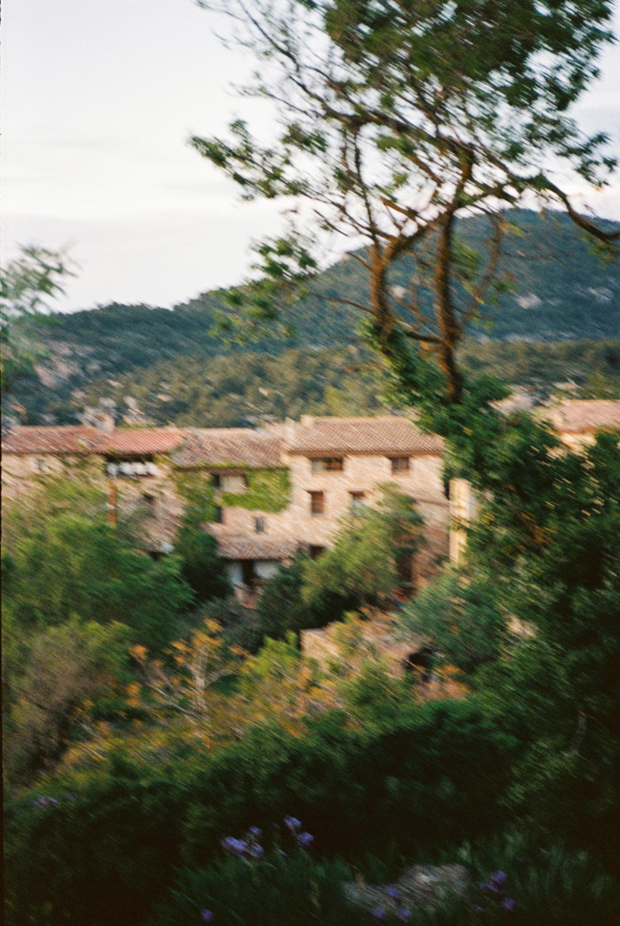Blurred photo of a landscape with trees, rooftops, and distant hills, taken from a moving vehicle or scene.