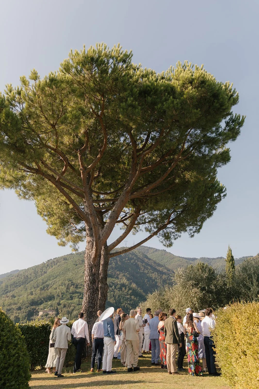 Destination Weddings in Barcelona &amp; Catalonia: A Complete Guide for Couples Planning a Wedding in Spain