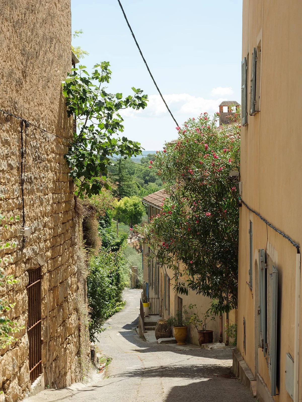 A narrow french village street image with stone and yellow buildings, green plants, and pink flowers, under a blue sky with scattered clouds.