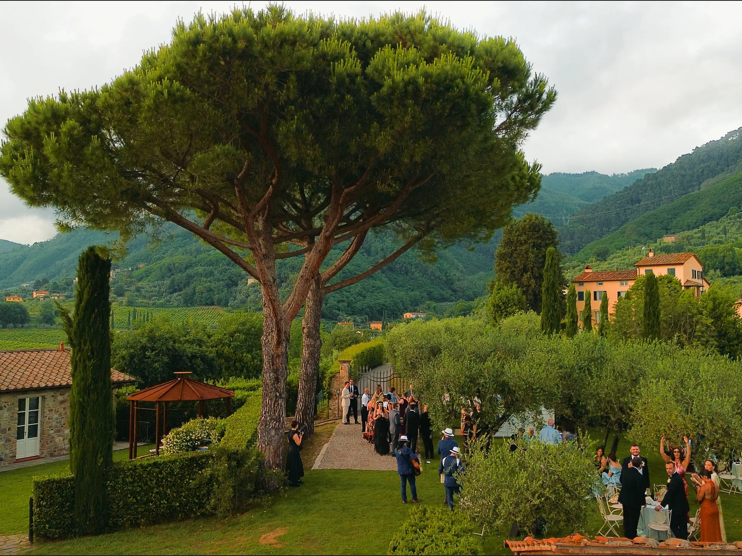 An Olive Grove Made for Cocktail Hour at Casale De Pasquinelli