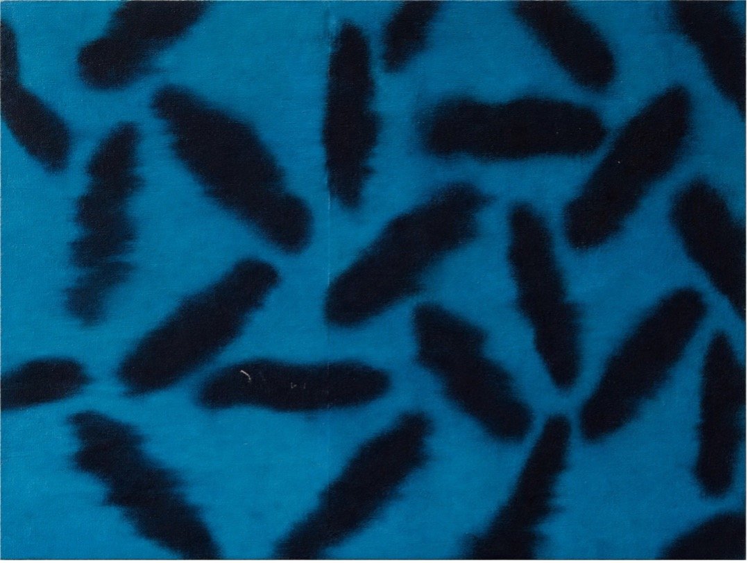 Matt Clark, Untitled