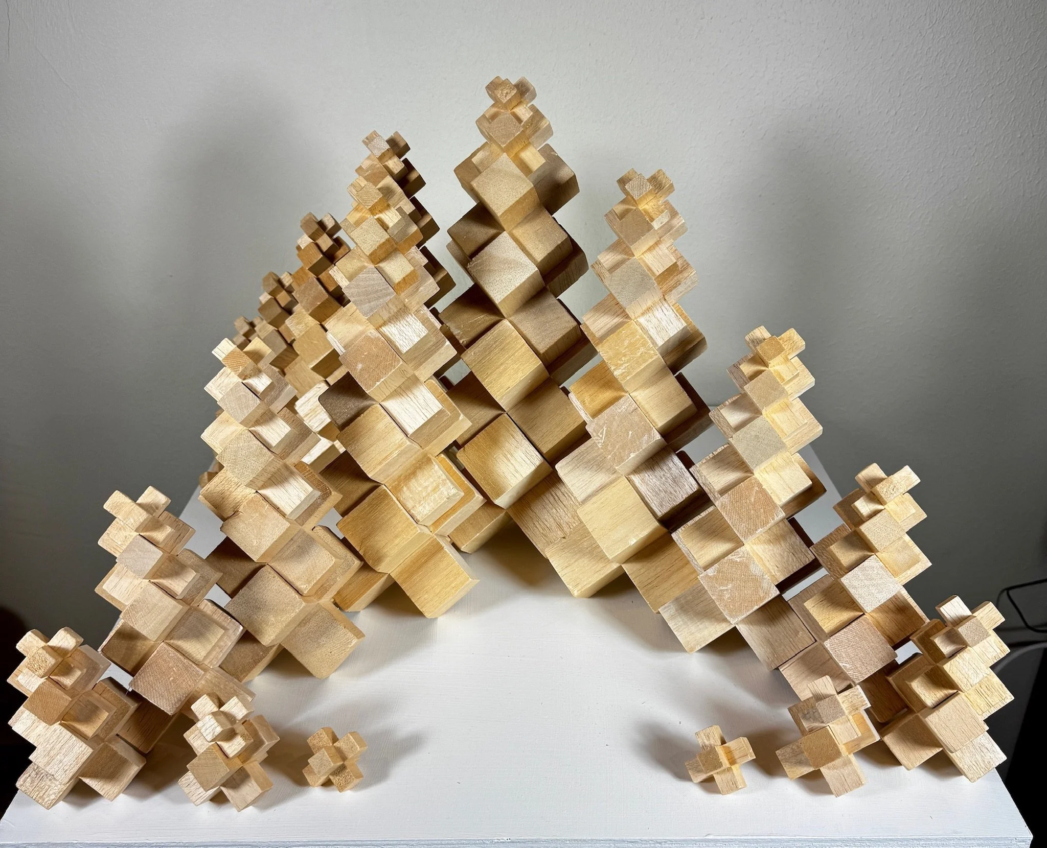 Geometric Forest, 1998, Morton Rachofsky