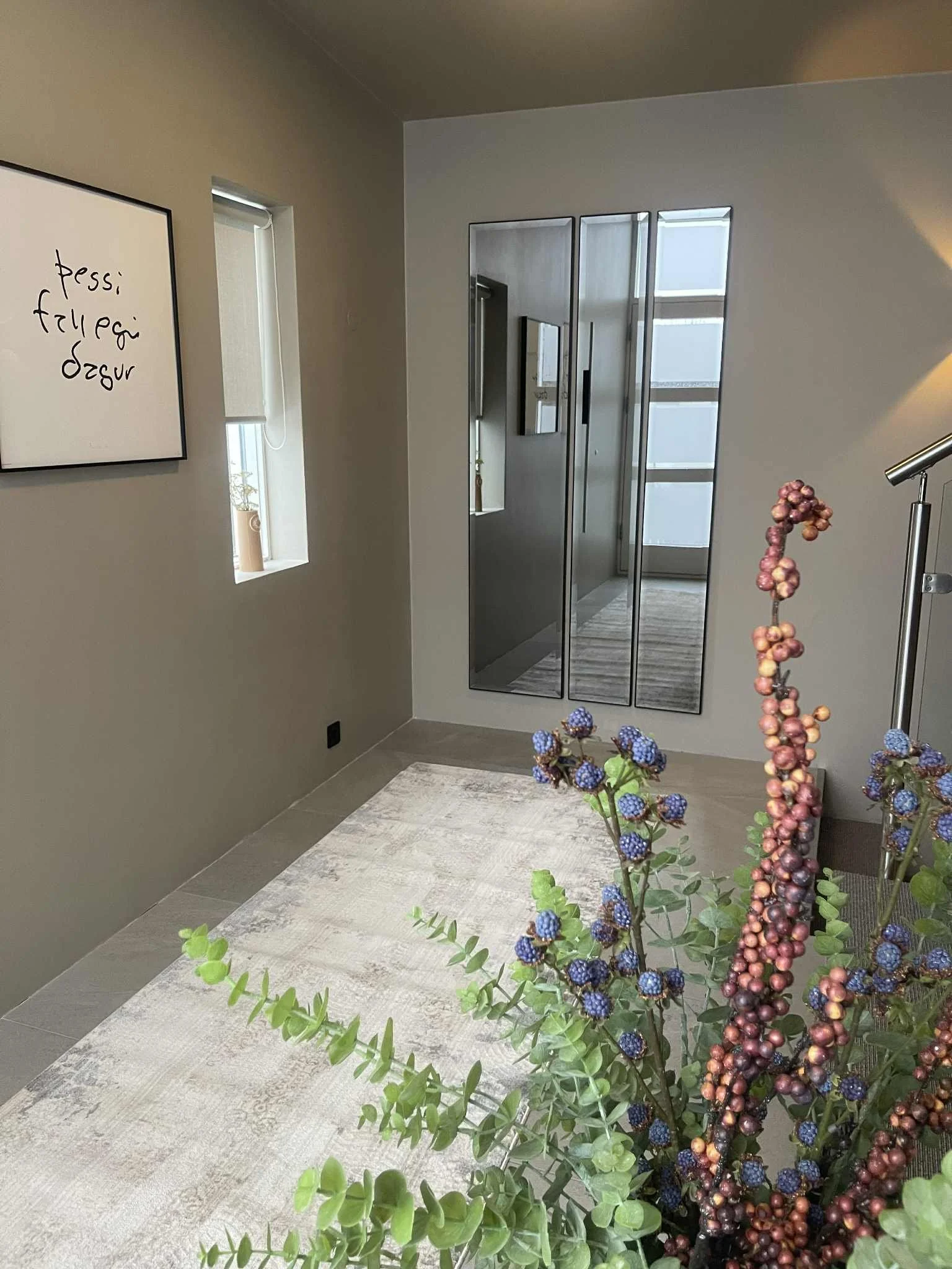 Interior view of a modern room with a mirror, a window with a blind, a framed wall Sign, and a plant with purple and green foliage.