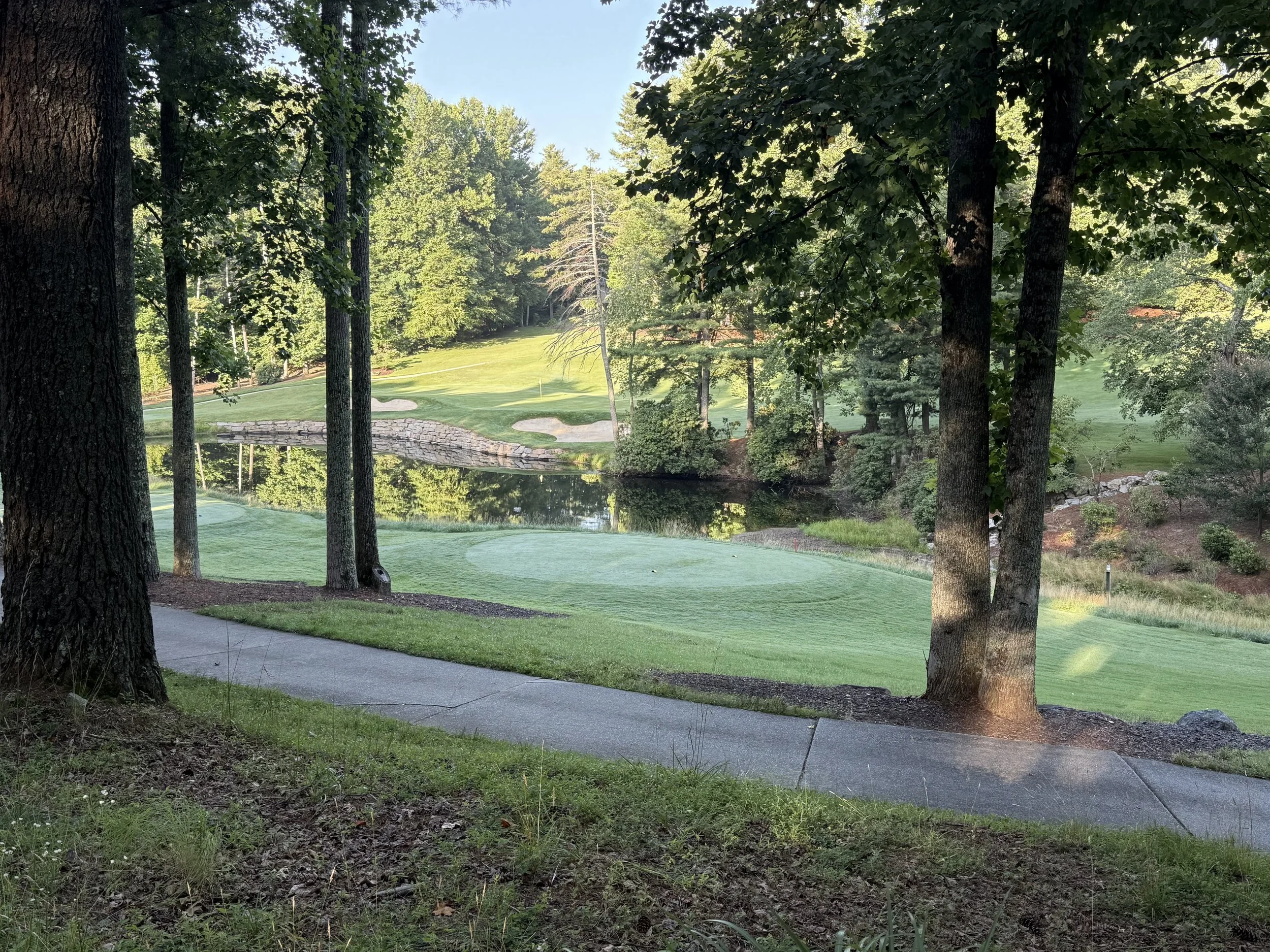 Champion Hills — Hendersonville, NC Neighborhood Guide (2026)