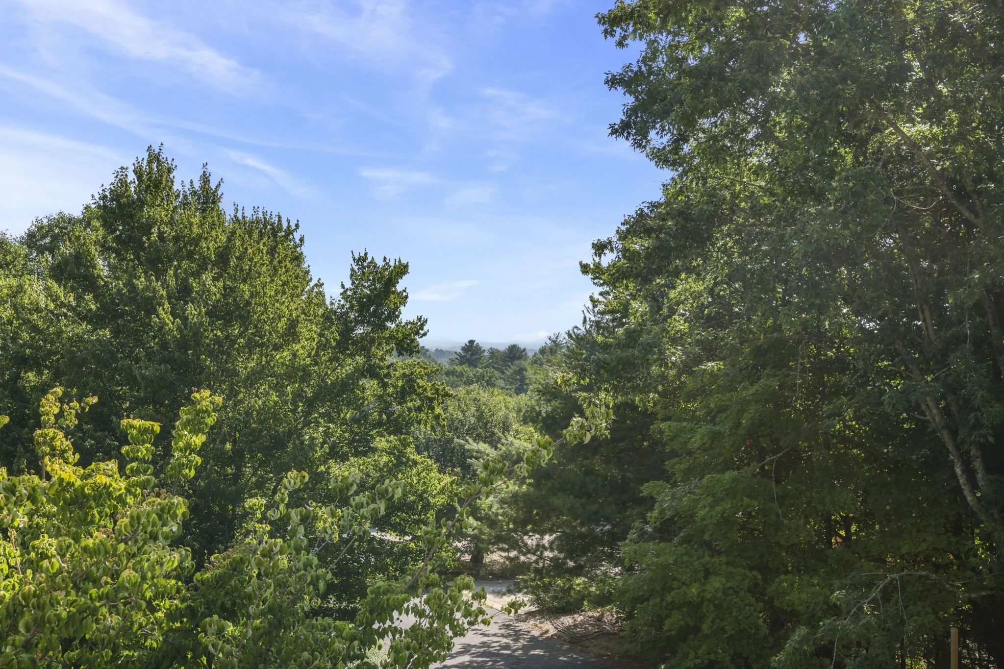 Wilson Farm — Hendersonville, NC Neighborhood Guide (2026)