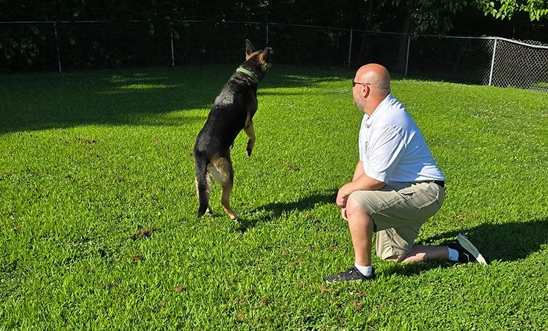Boop & Go Request a Meet & Greet - Pet Sitting and Dog Walking
