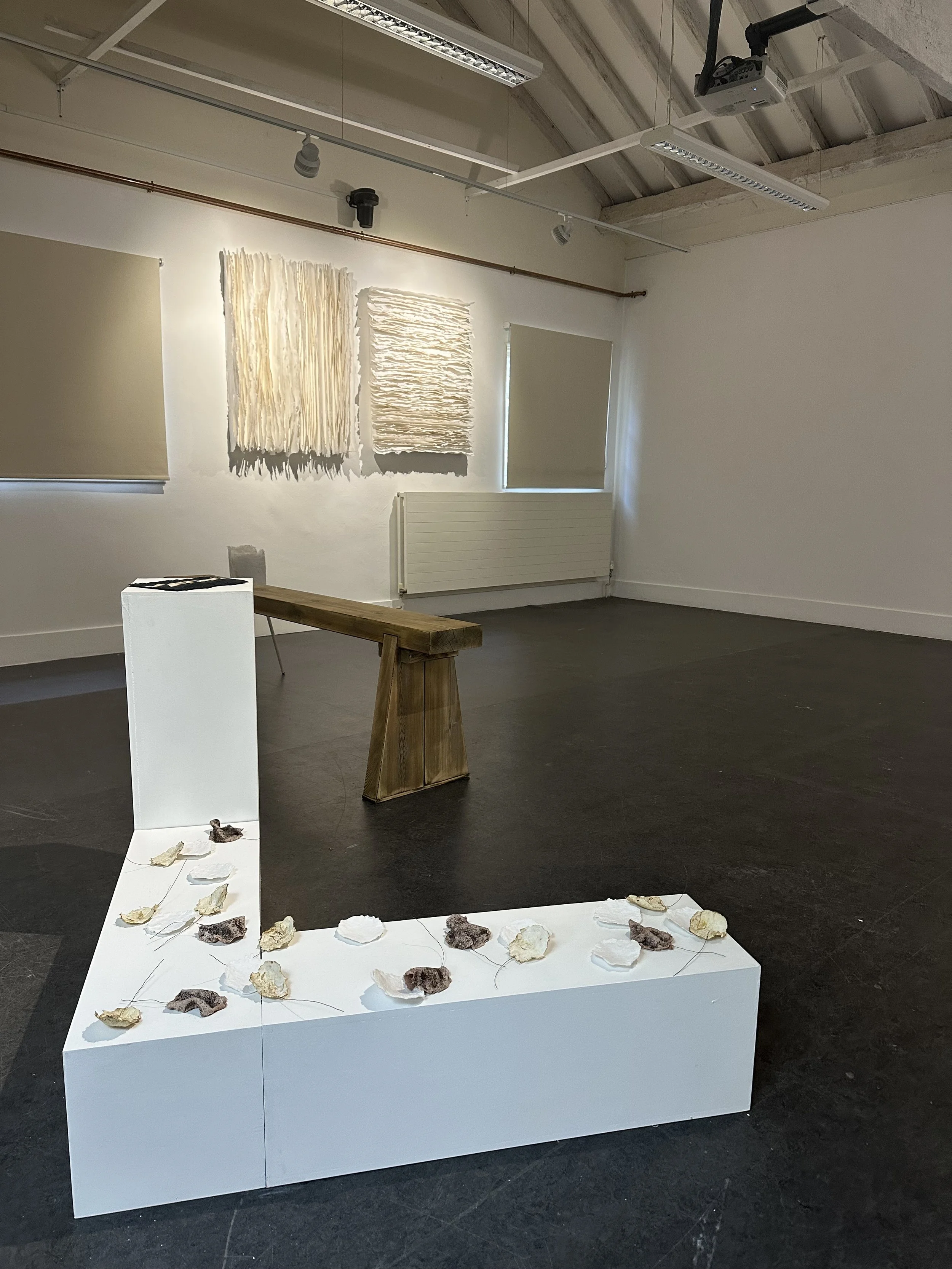 Disrupted, 2026. Handmade cotton rag paper and cotton canvas.  Dimensions 100 x 80 cm each. Installation view.