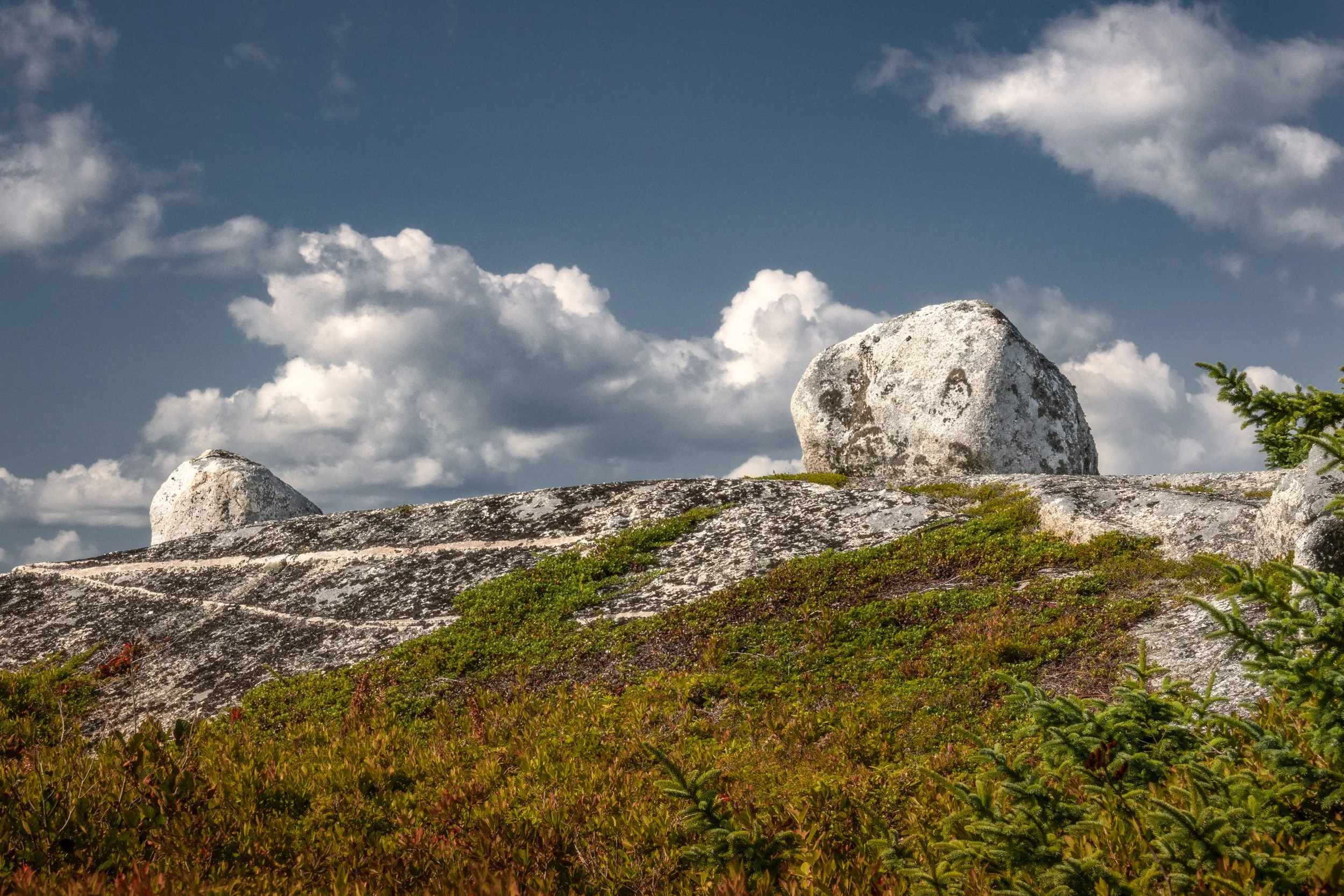 Swiss Air Memorial Site No. 1