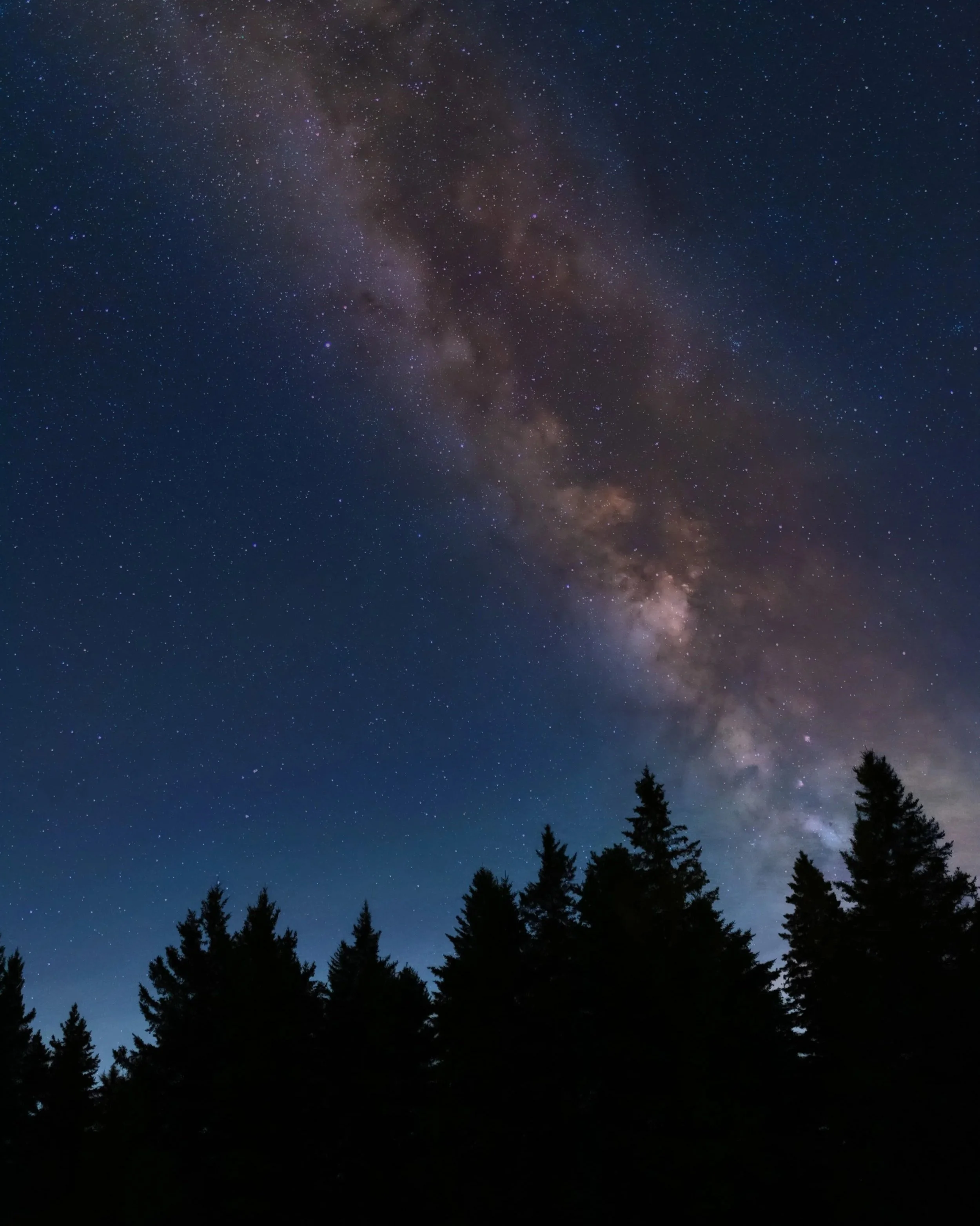 Comprendre l'invariance ISO peut grandement améliorer vos photos en basse lumière