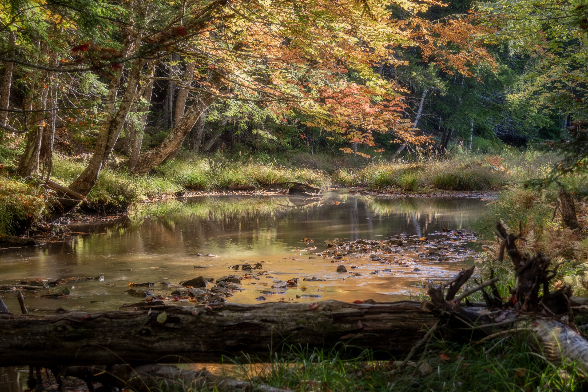 High Dynamic Range (HDR) vs. Exposure Blending: Which Is Better?