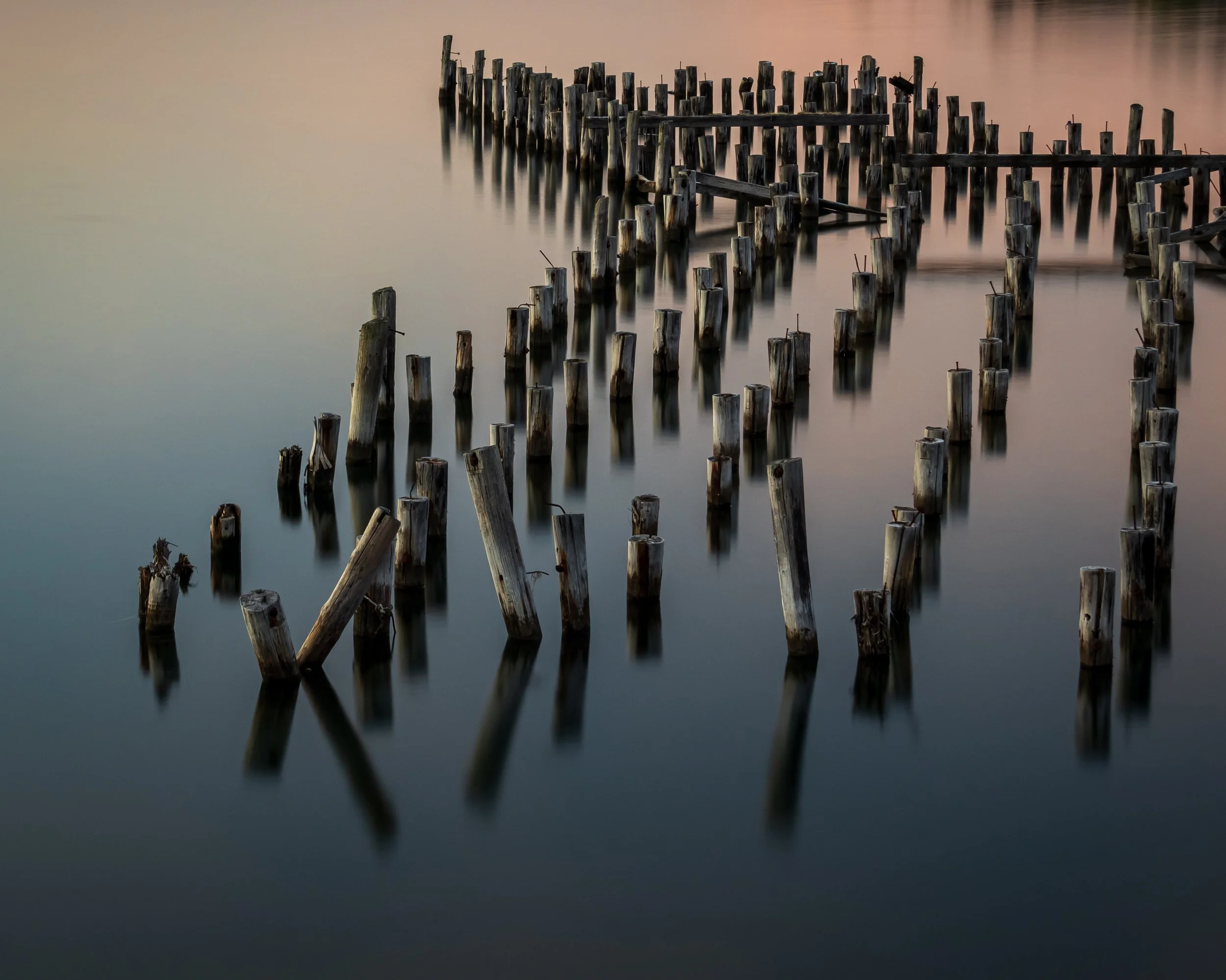 1D5A6129plc(crop).jpg