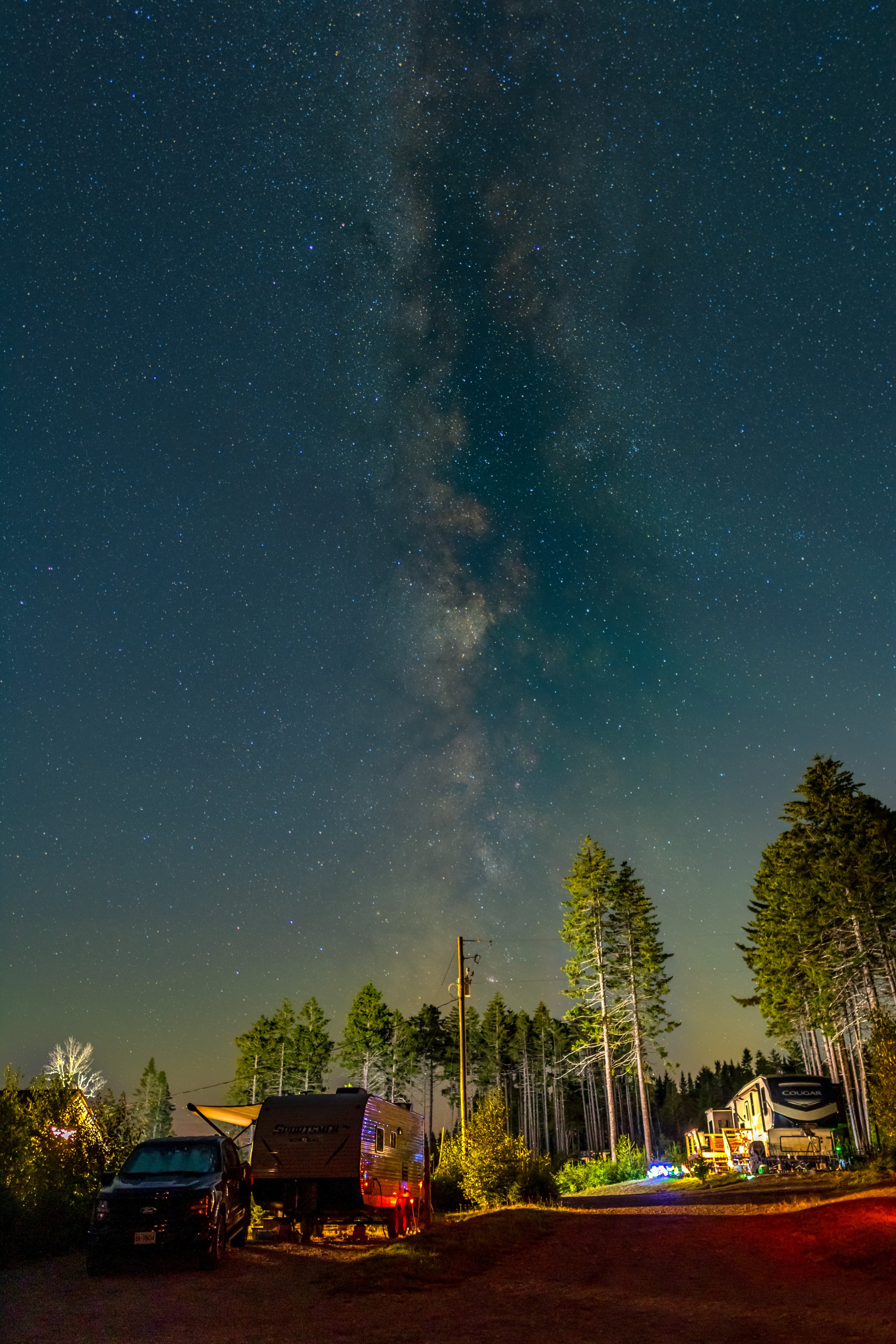Fundy Woods2.jpg