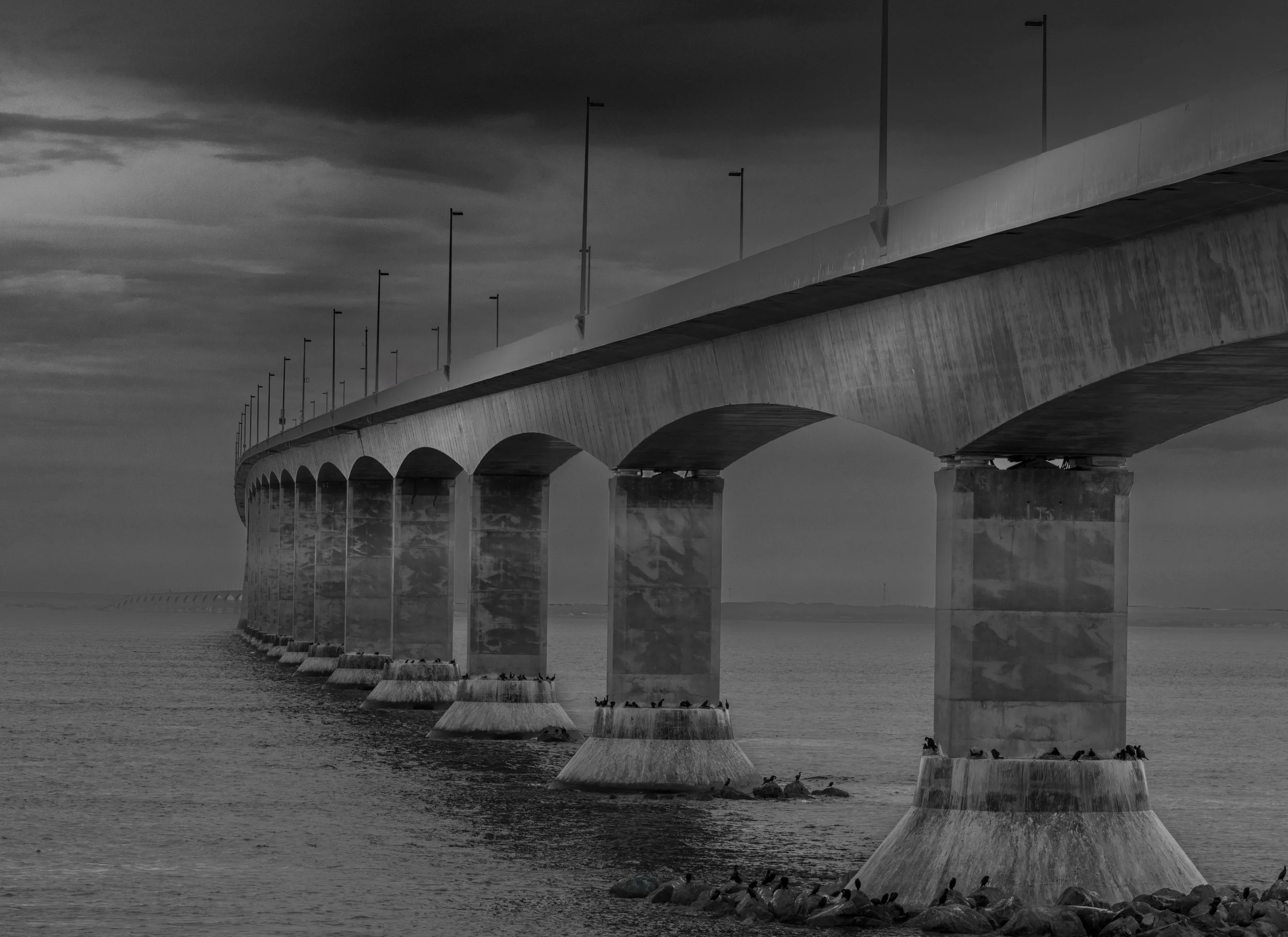 1D5A0853-Editplc.jpg