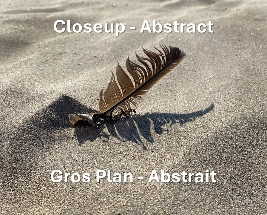 Close-up - Abstract / Gros Plan - Abstrait