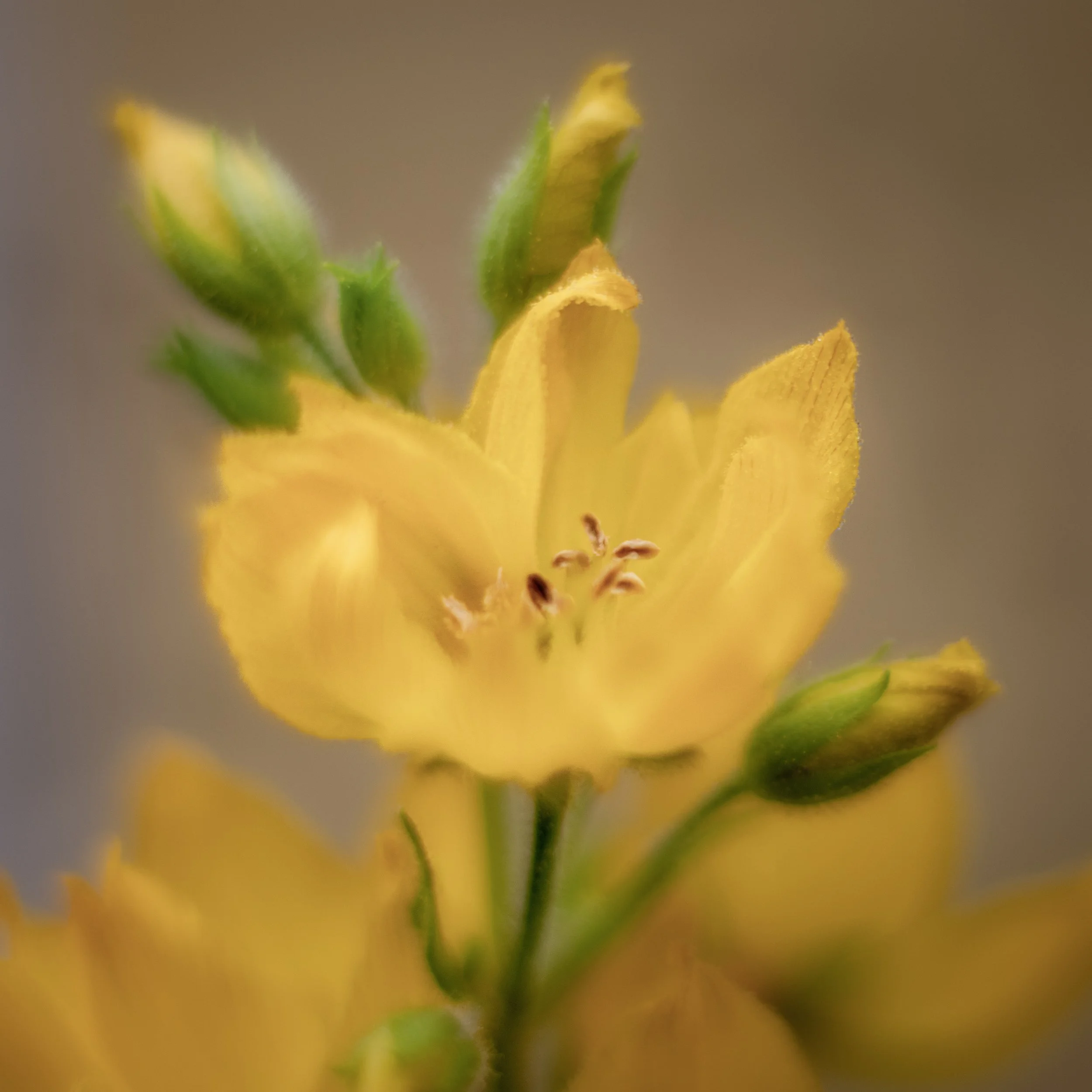 1D5A0892-Editplc.jpg