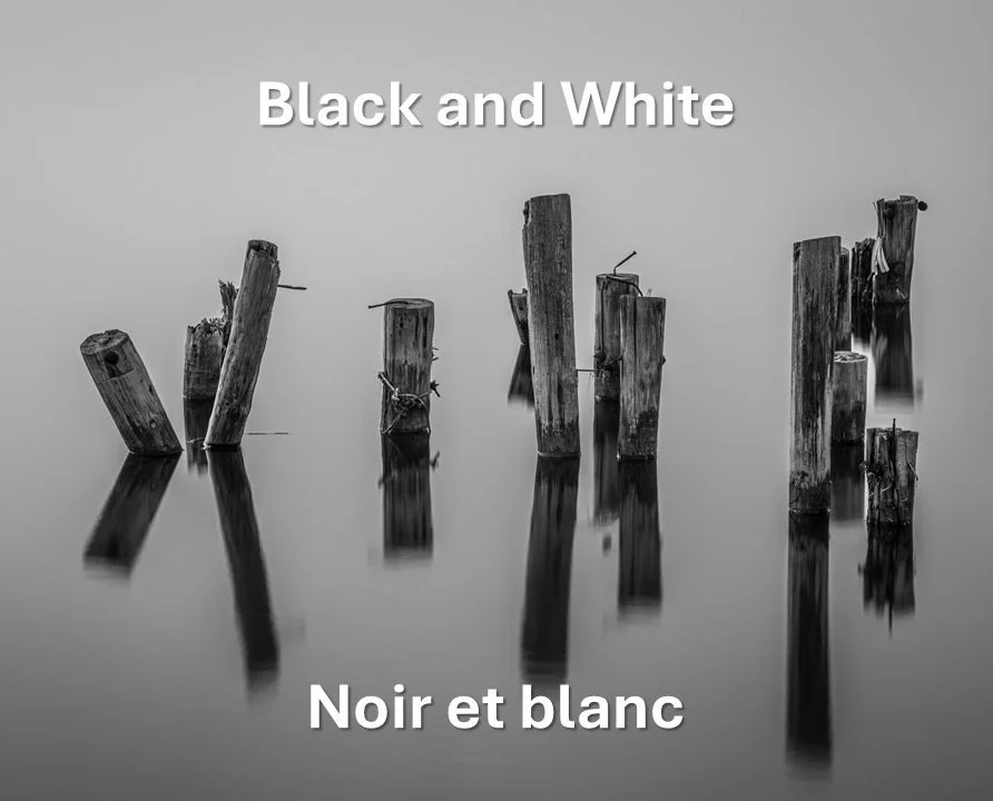 Black and White / Noir et blanc