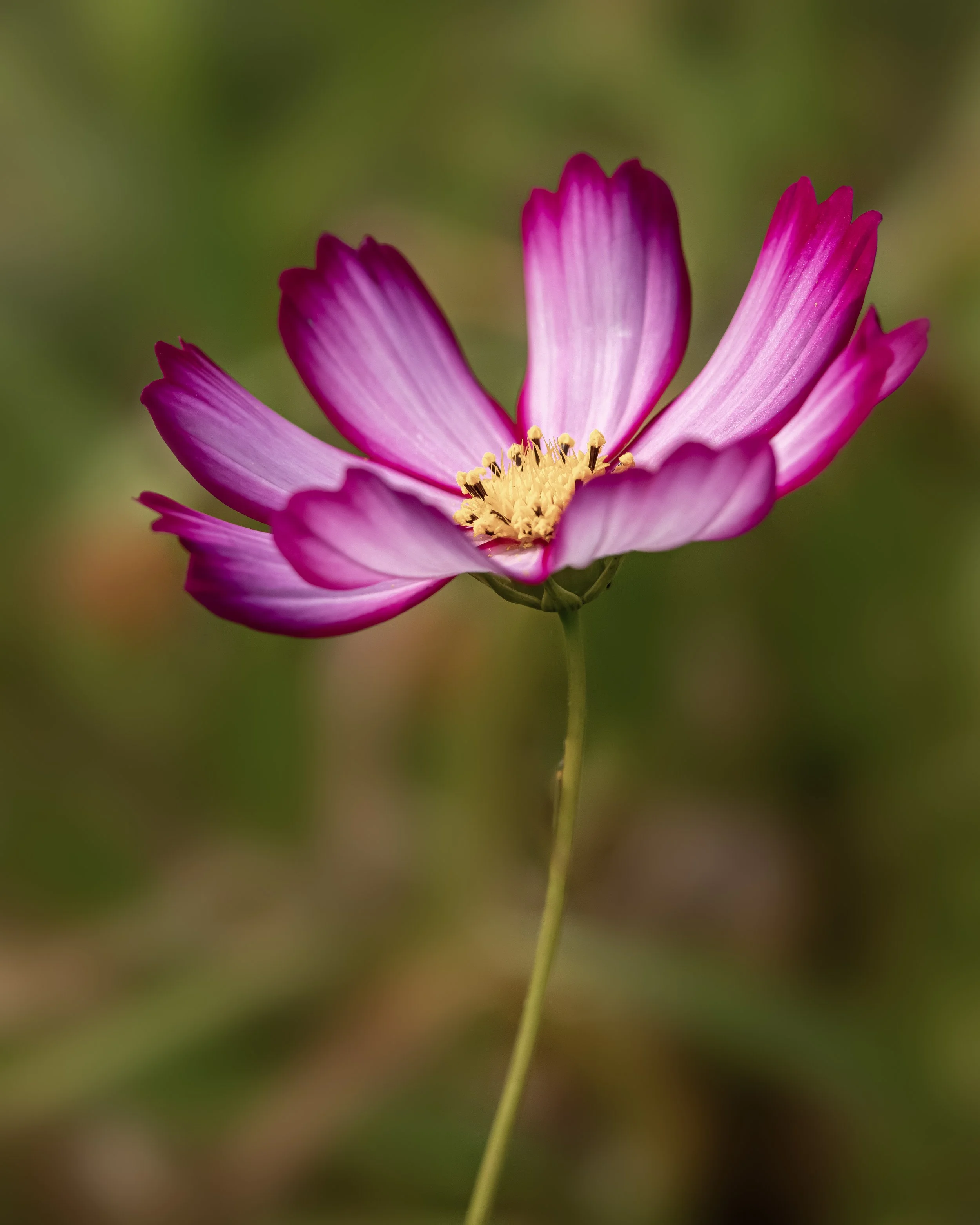 1D5A1737-Editplc.jpg