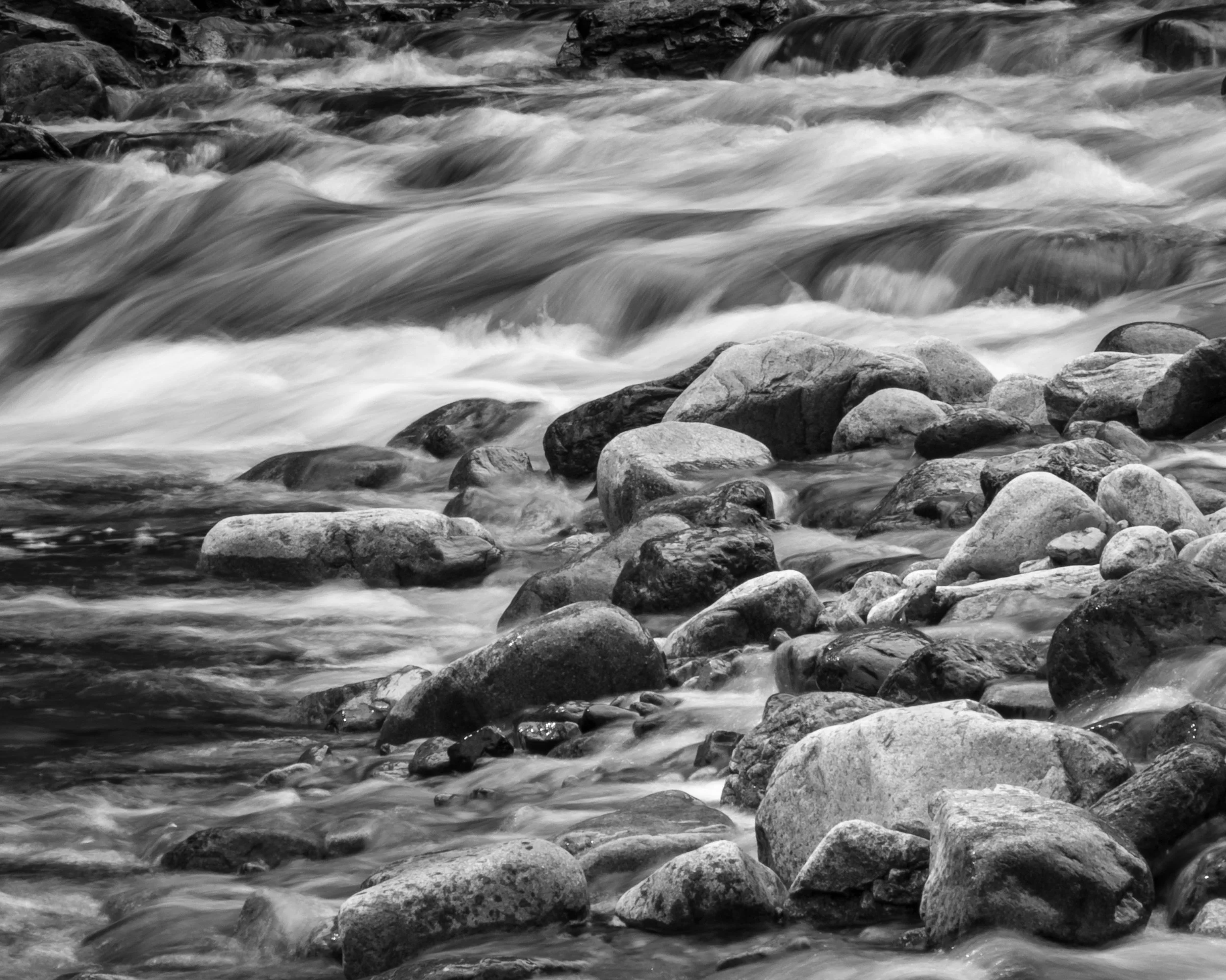 IMGP3582plc(BnW).jpg