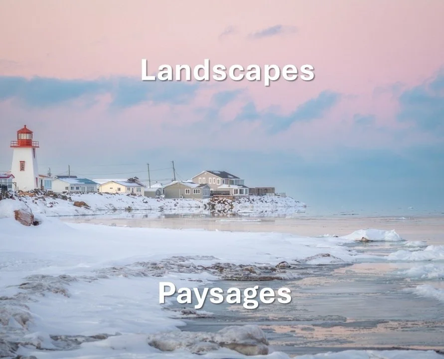 Landscapes / Paysages