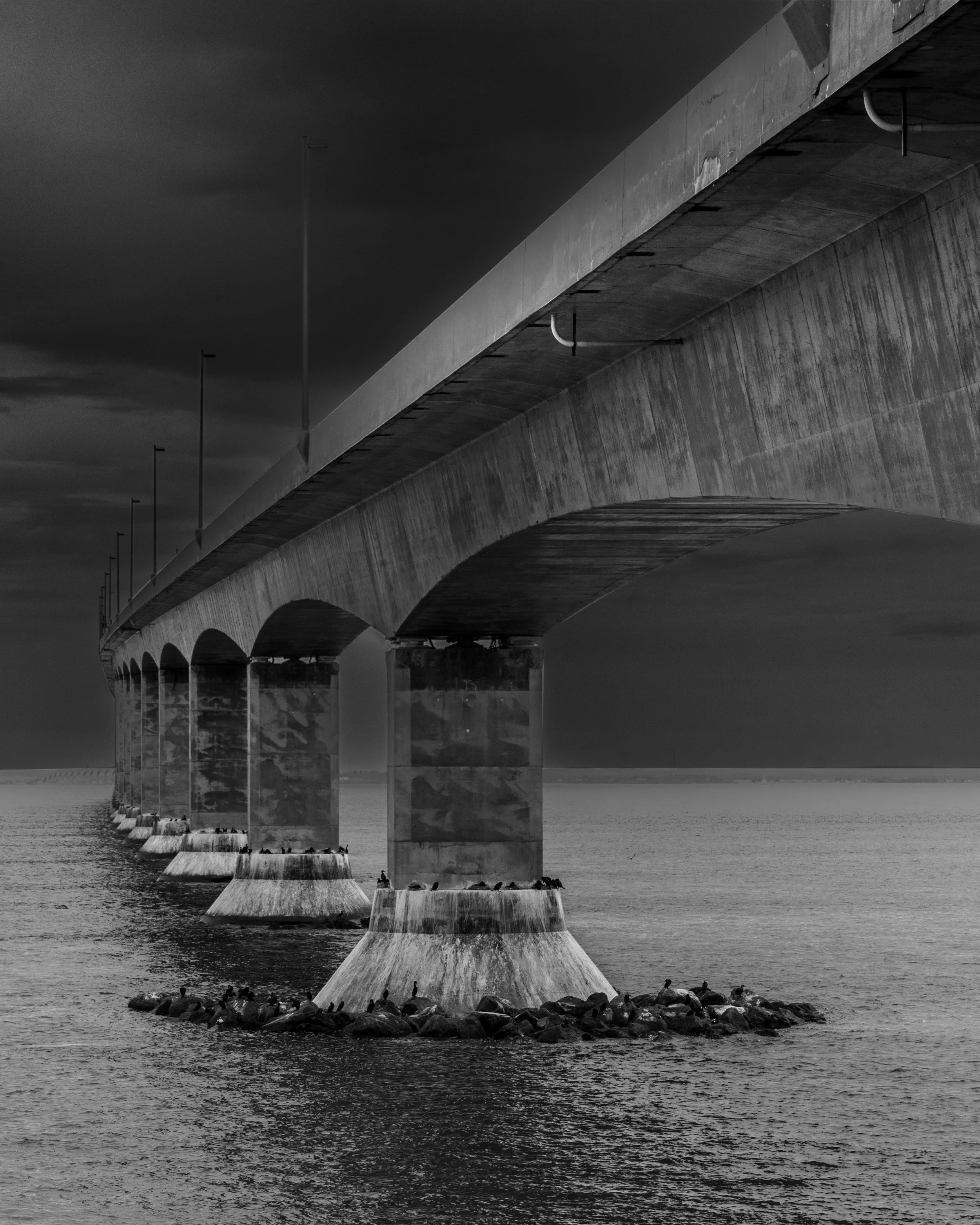 1D5A0851-Editplc.jpg