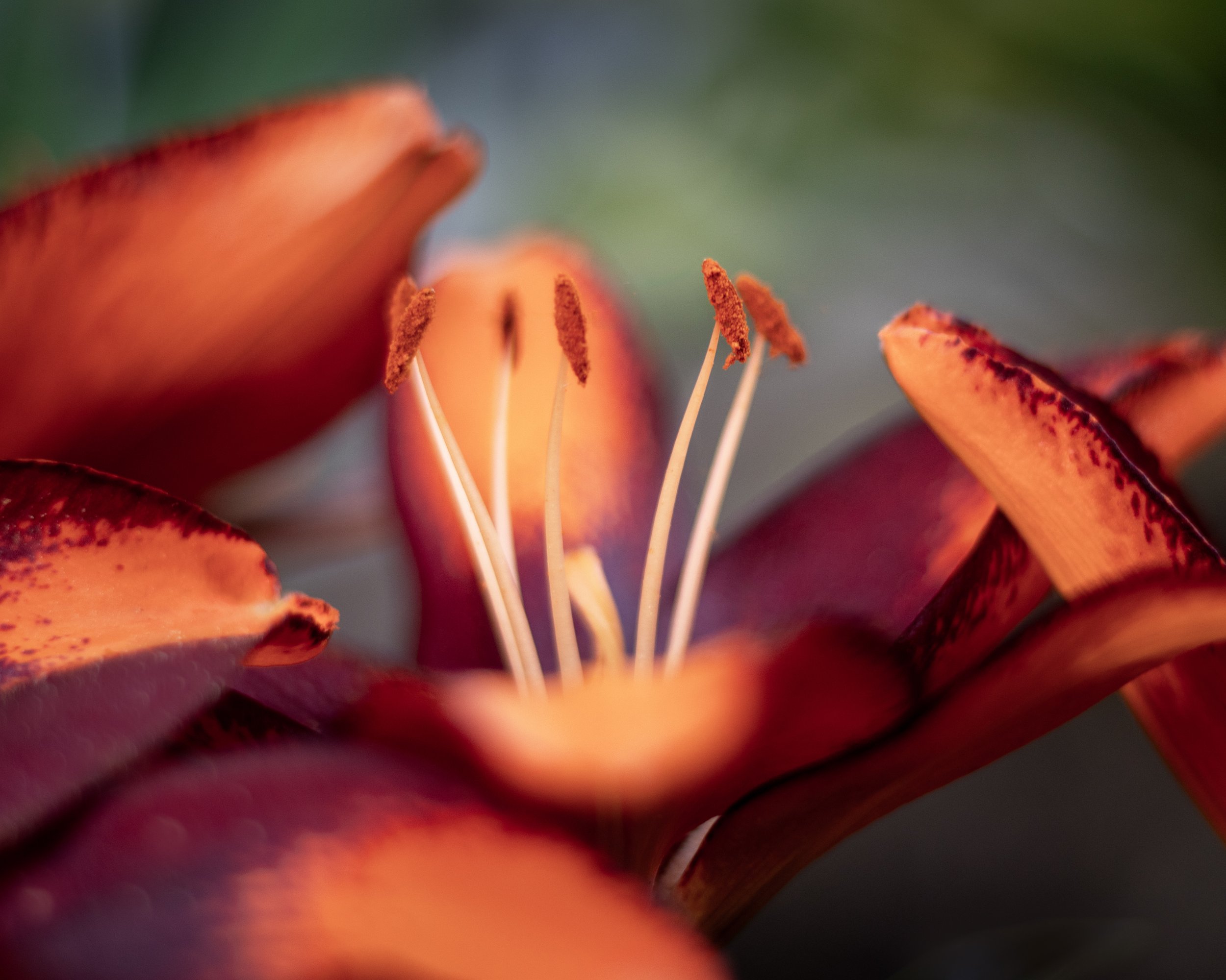 1D5A0301-Editplc.jpg