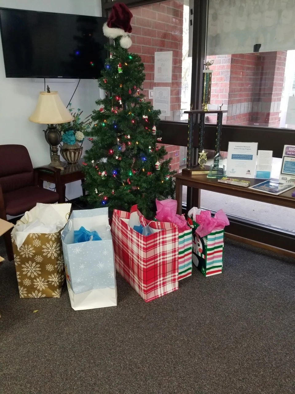 Christmas tree with presents underneath near a window, with a trophy and awards on a table nearby.