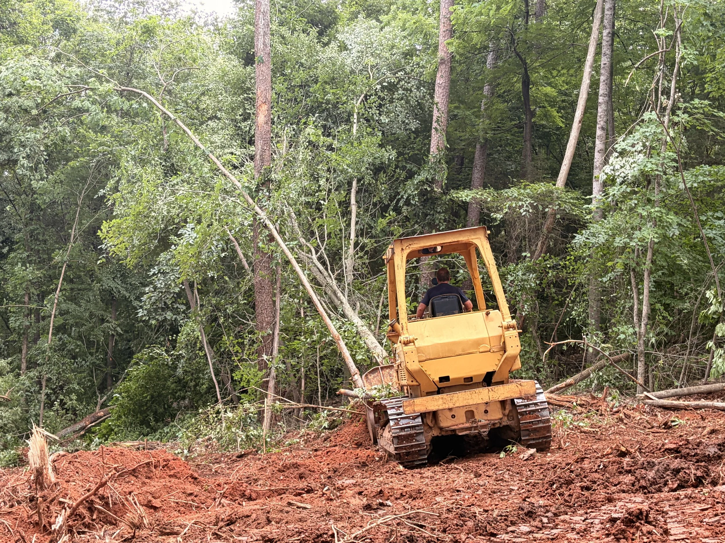 LAND CLEARING (3)