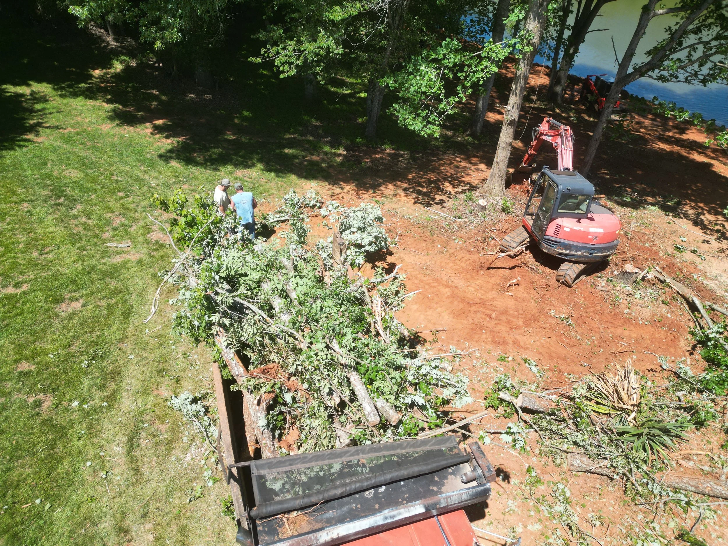 TREE REMOVAL